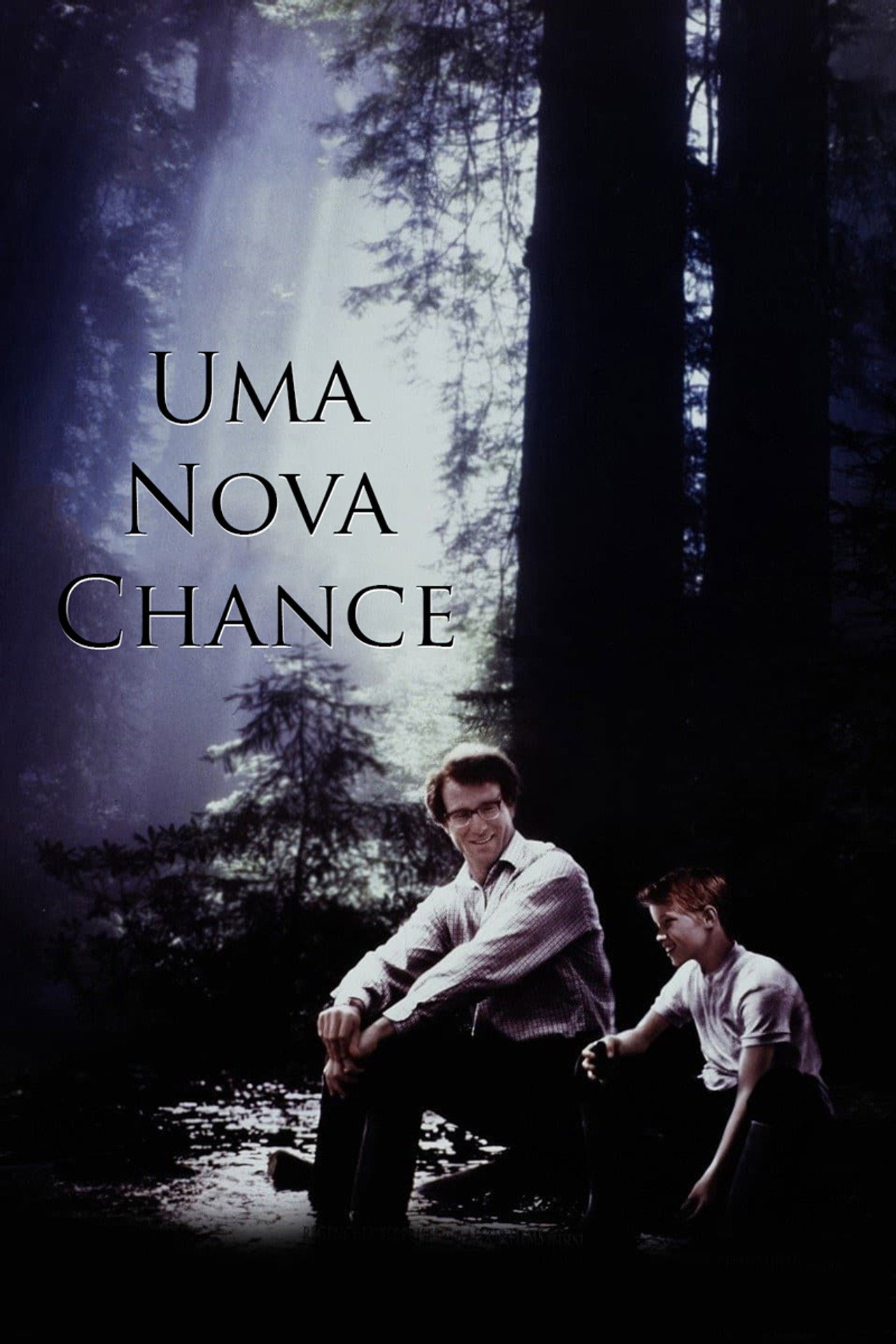 Pôster de Uma Nova Chance