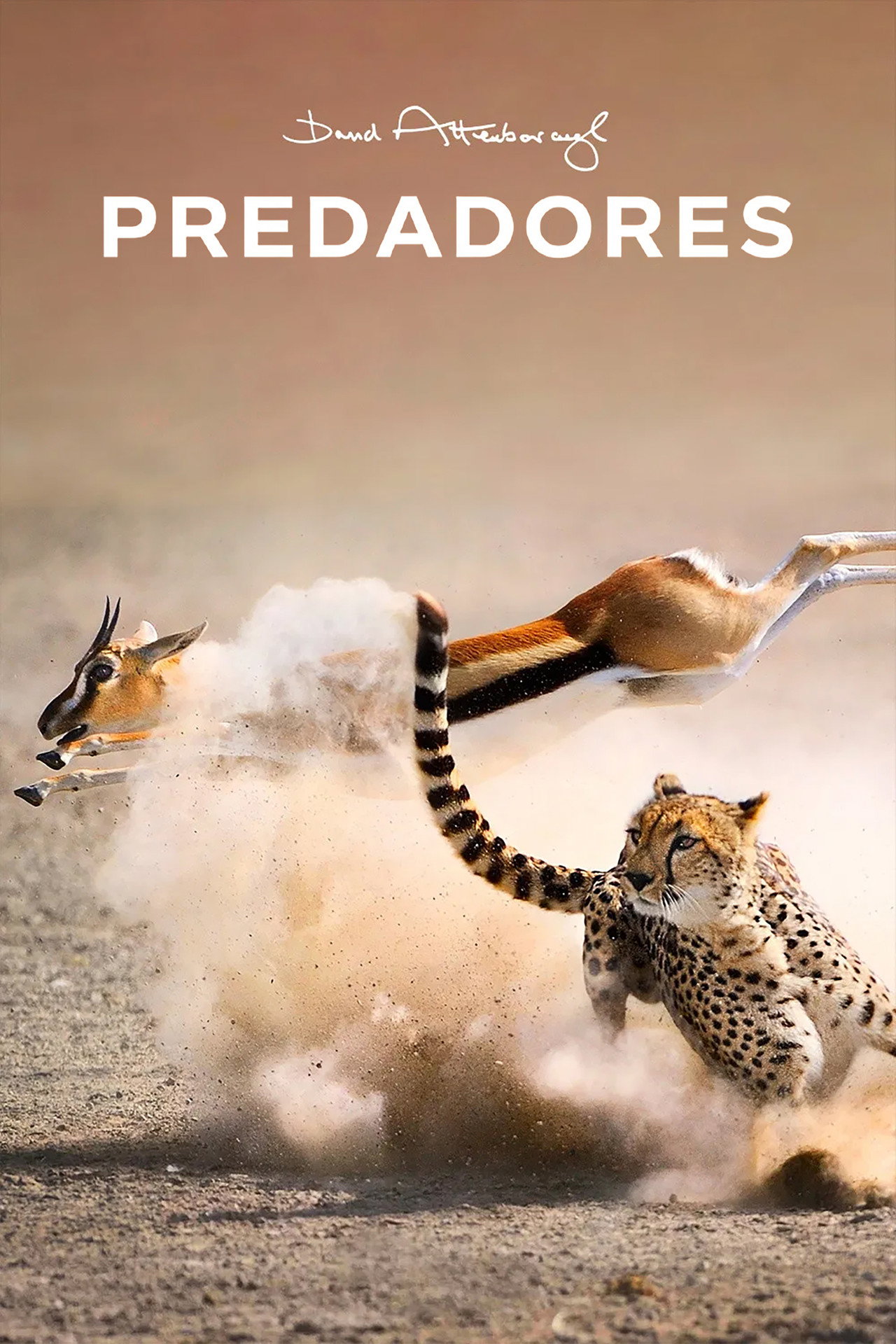 Pôster de Predadores