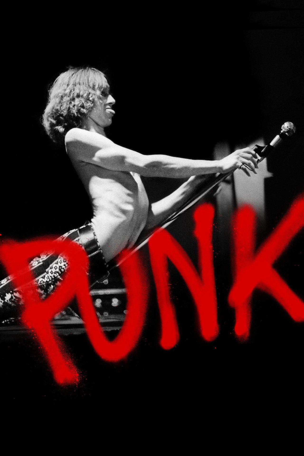 Pôster de Punk