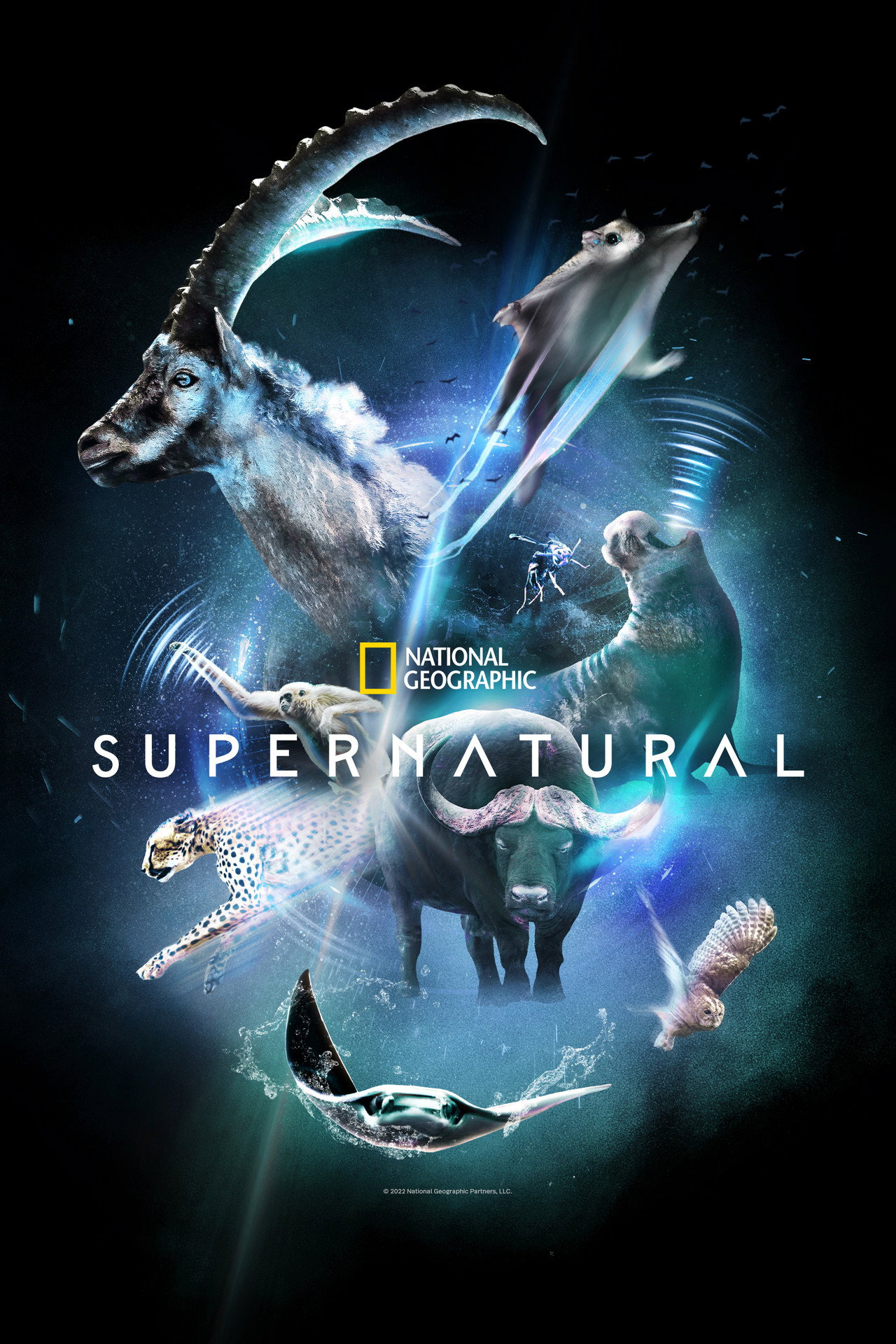 Pôster de Super Natural
