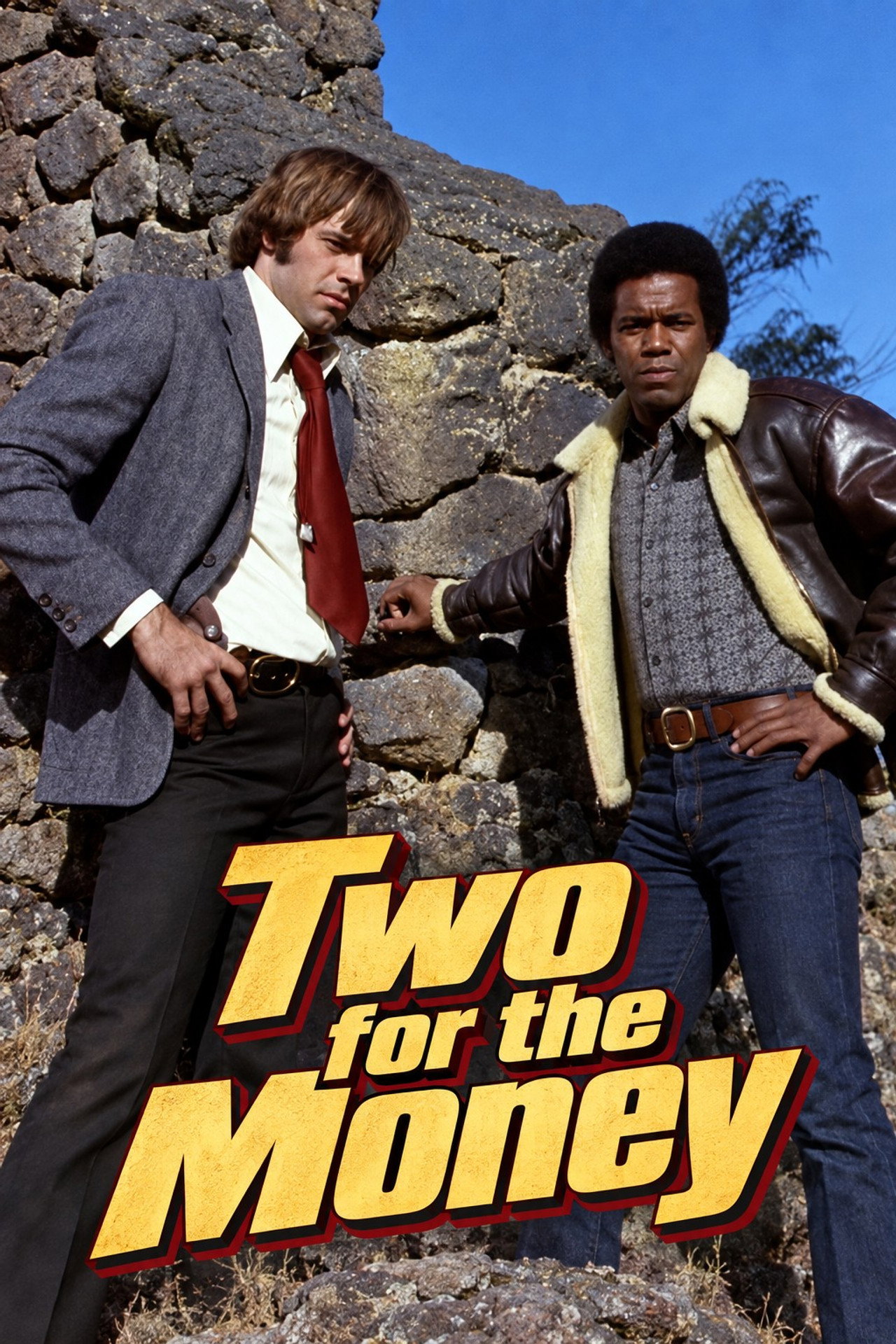 Pôster de Two for the Money