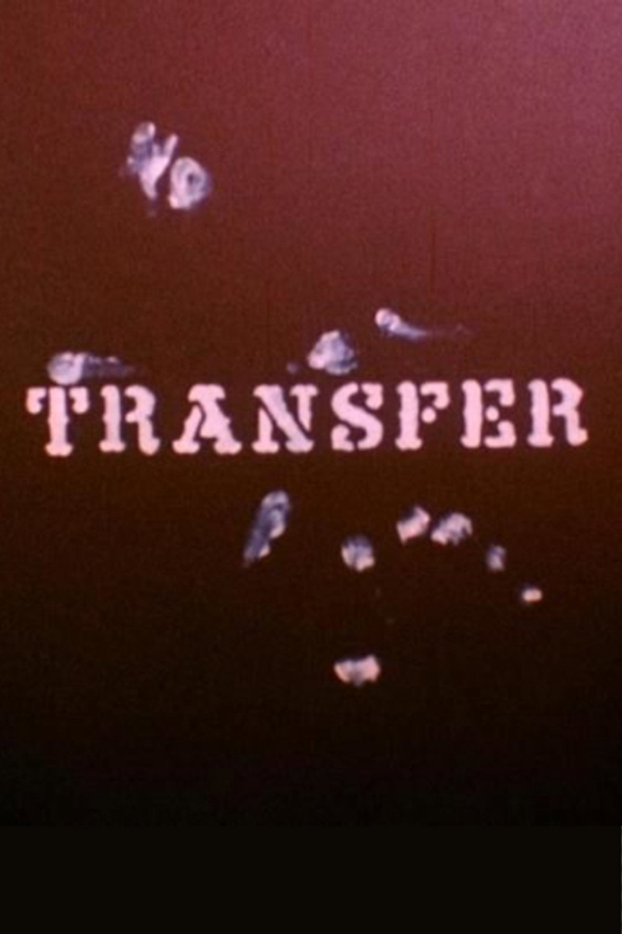 Pôster de Transfer