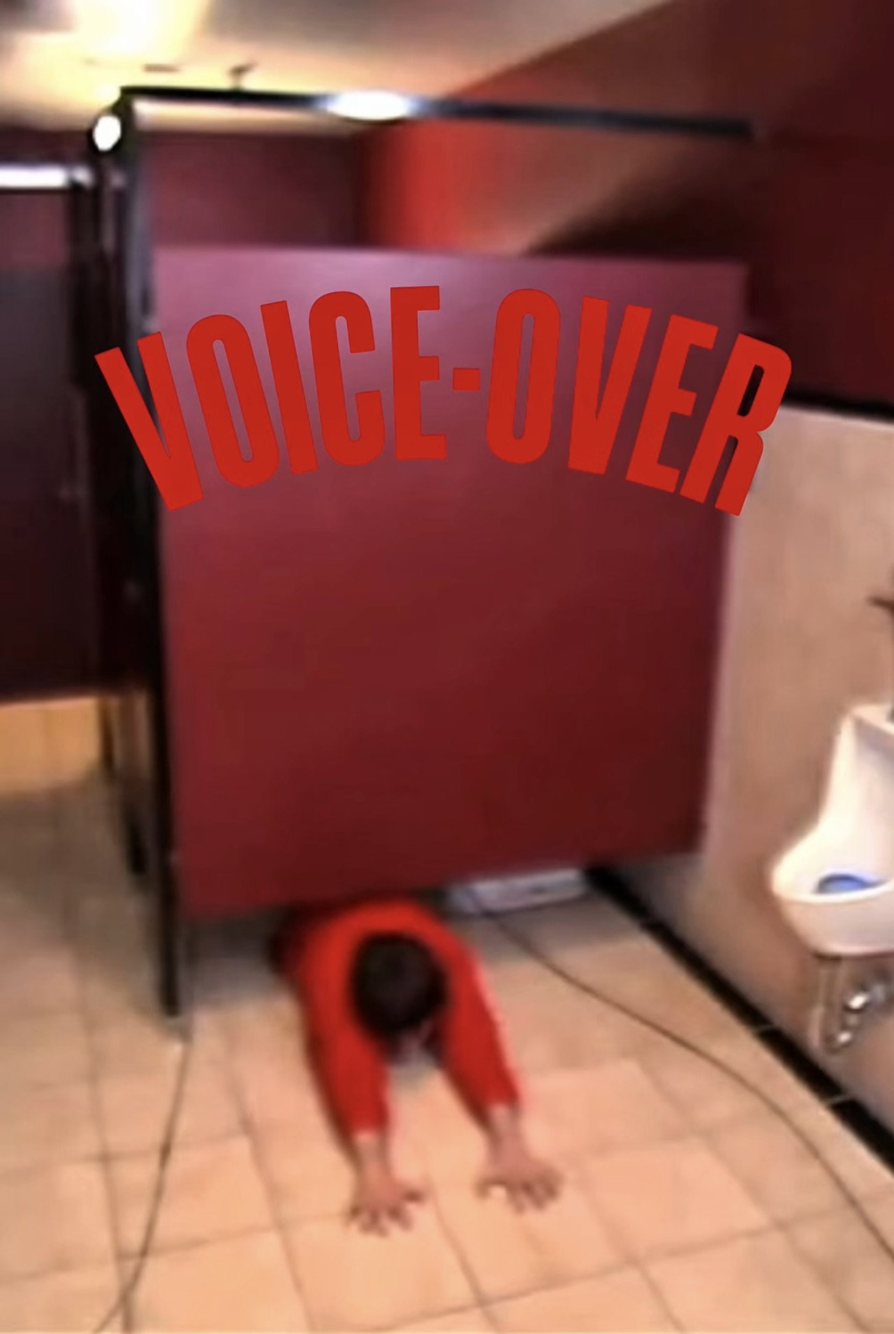 Pôster de Voice Over