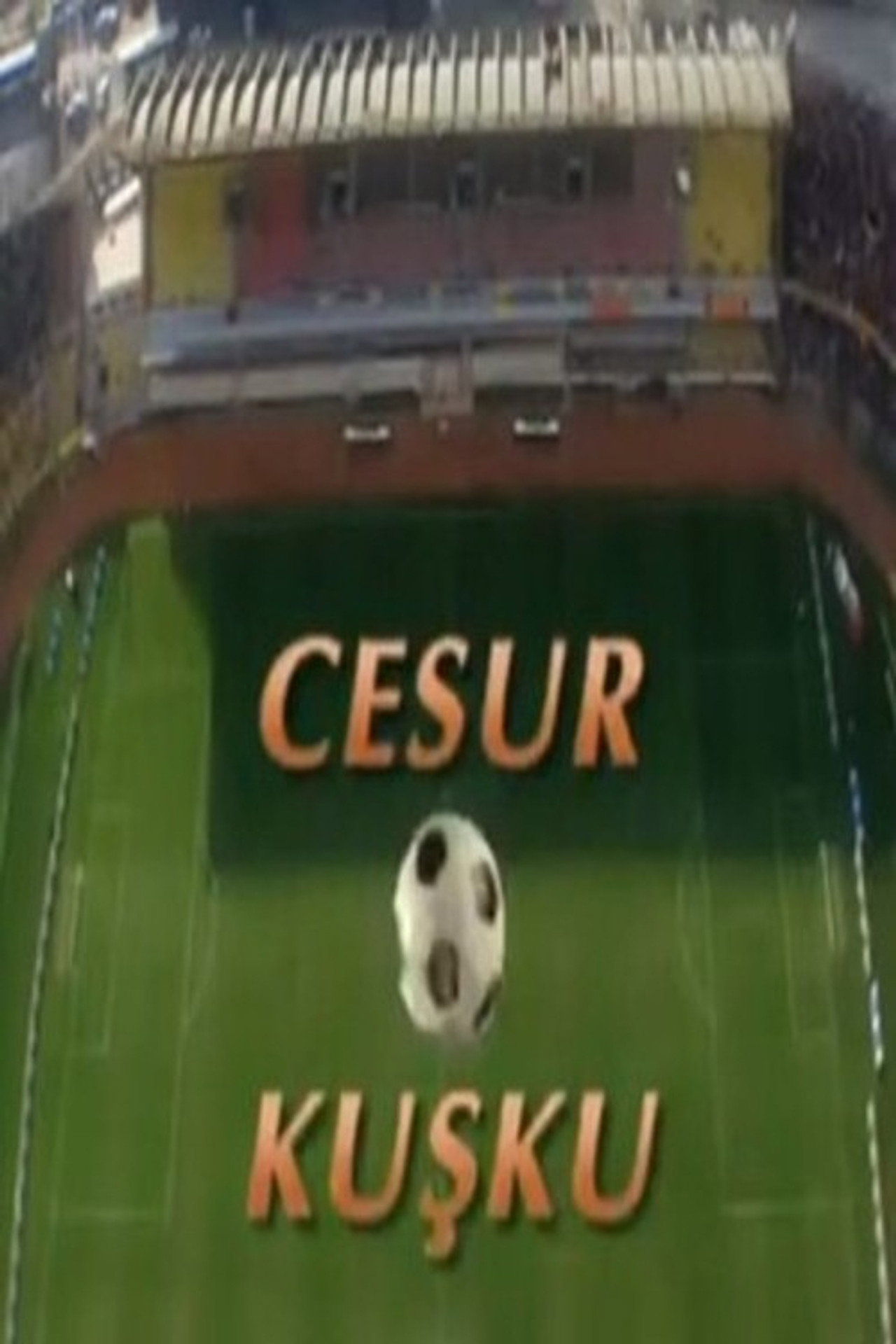 Pôster de Cesur Kuşku