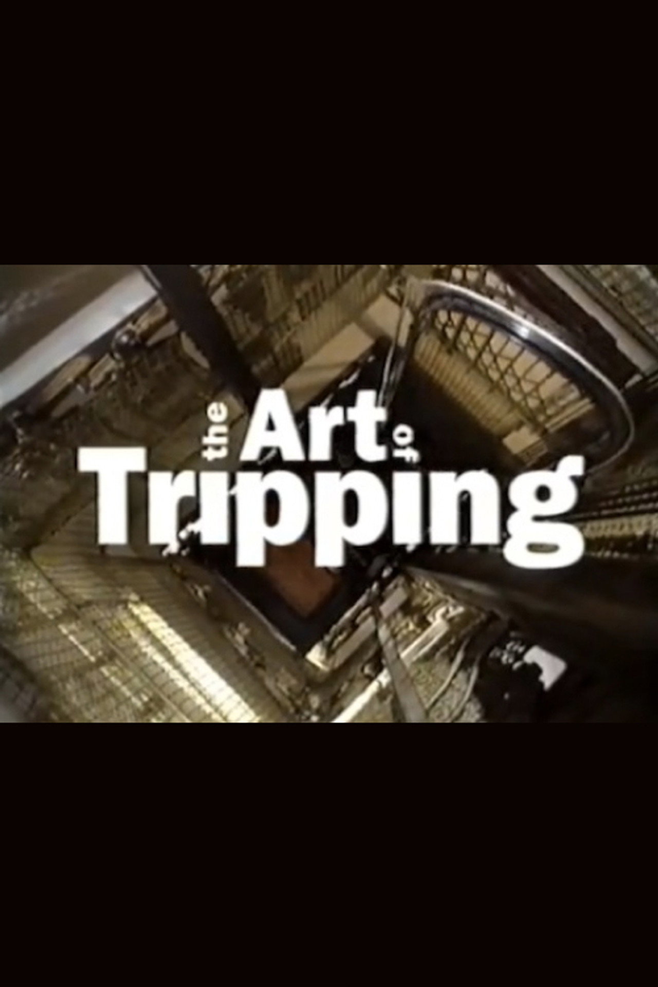 Pôster de The Art of Tripping