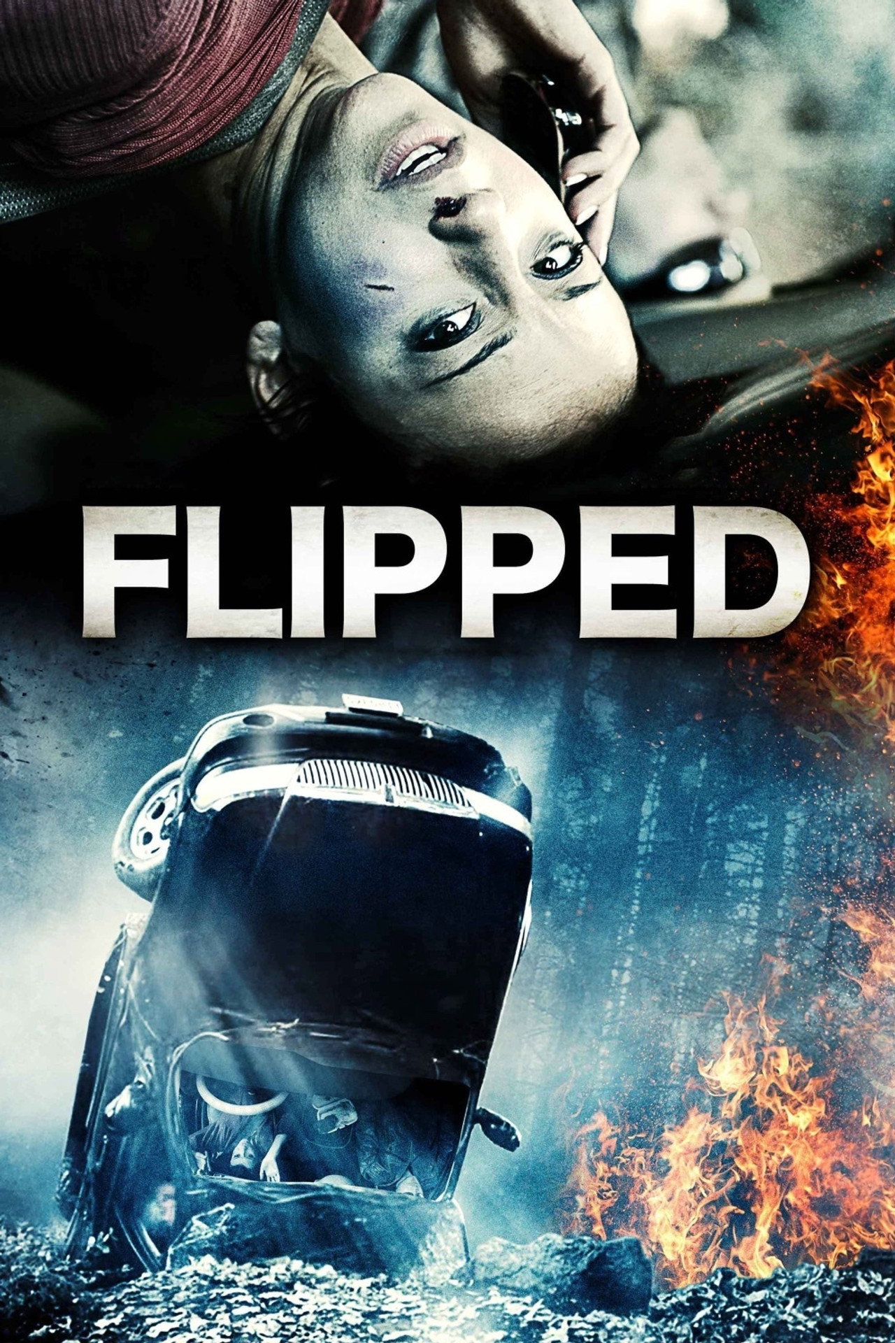 Pôster de Flipped