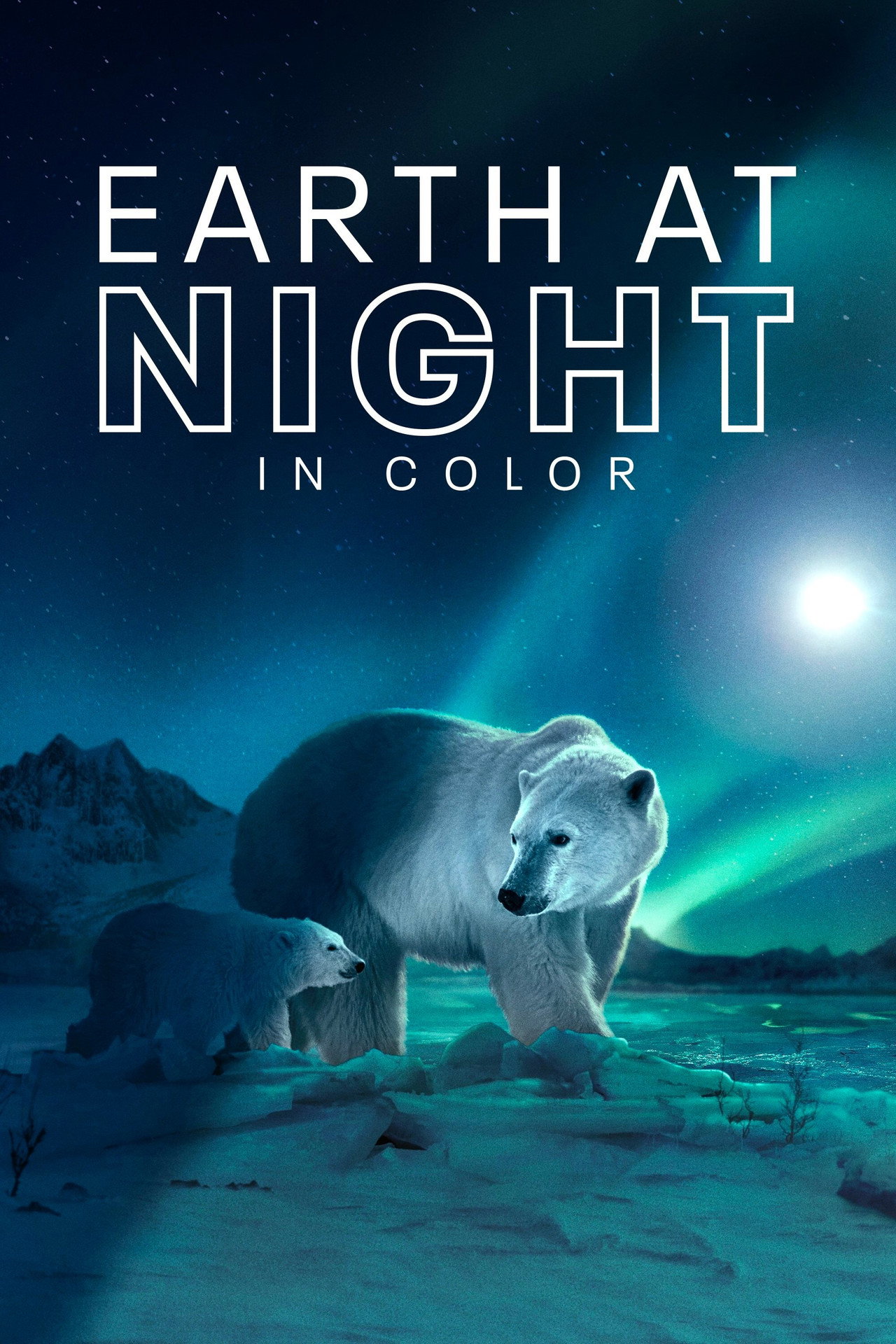 Pôster de Earth at Night in Colour