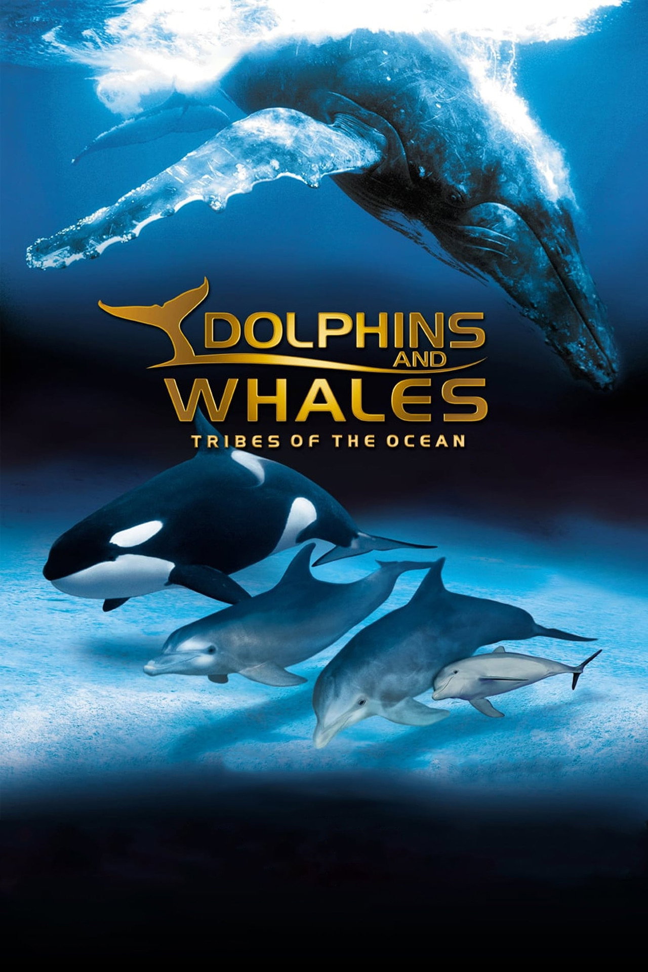 Pôster de IMAX Dolphins and Whales: Tribes of the Ocean
