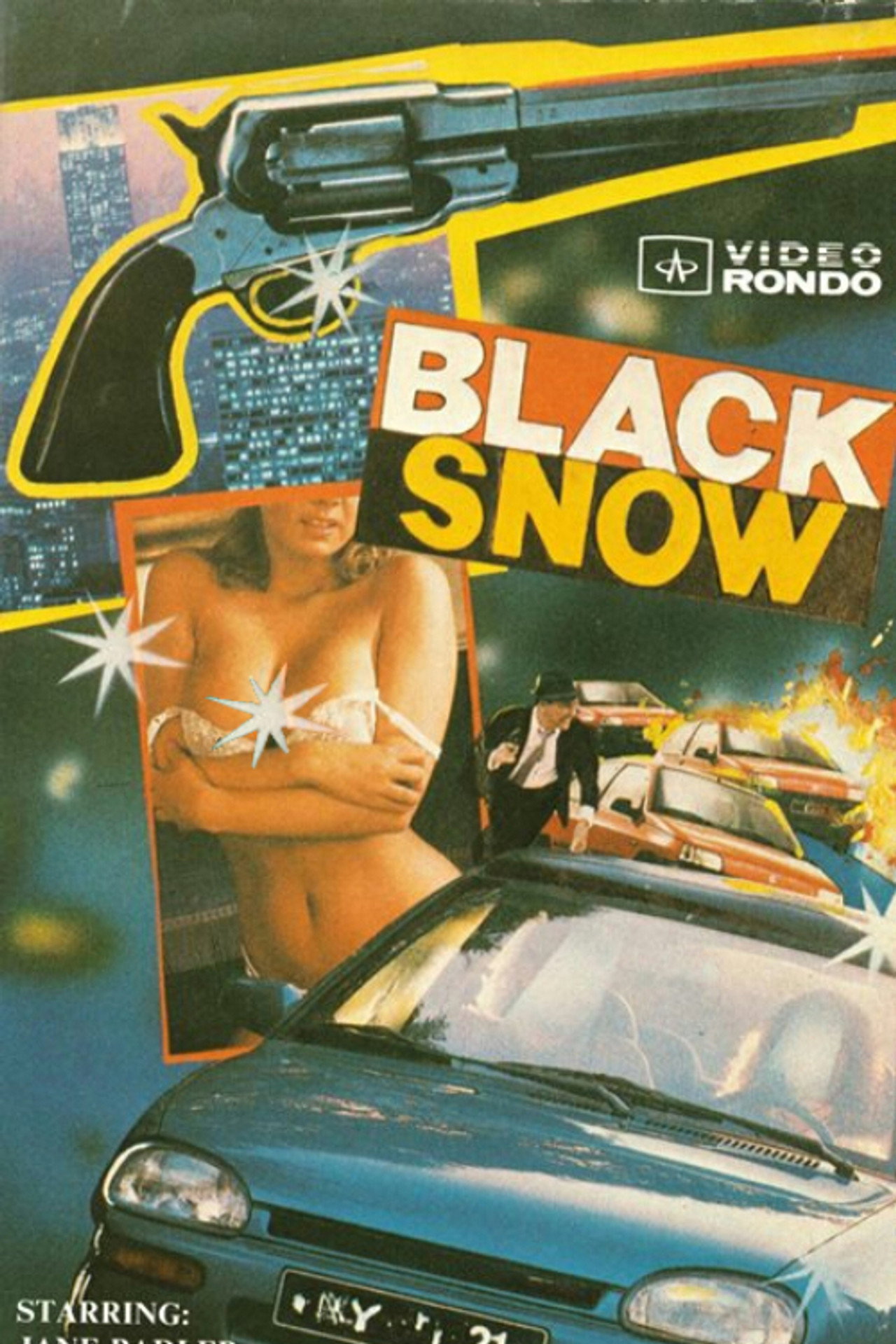 Pôster de Black Snow