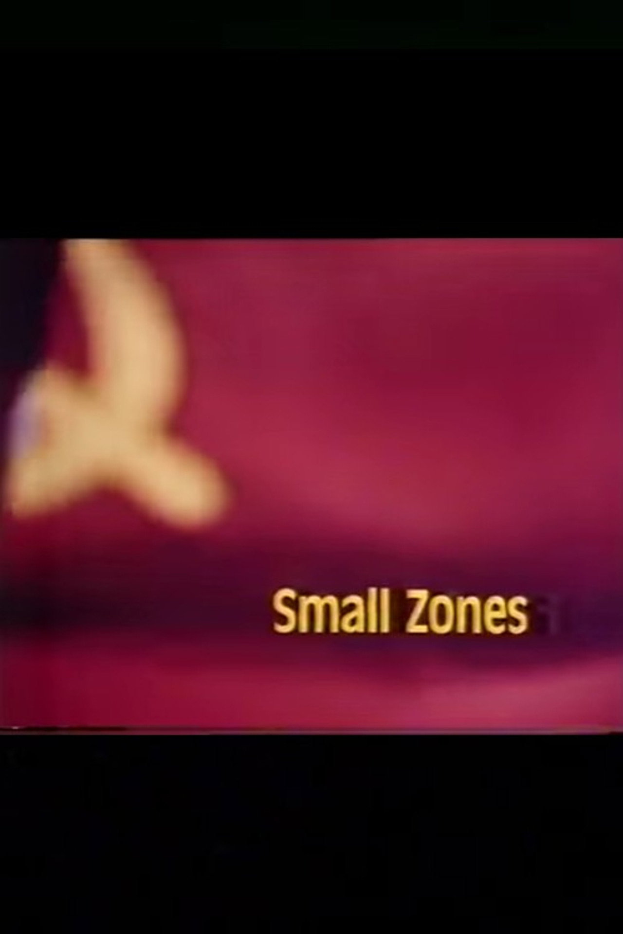Pôster de Small Zones