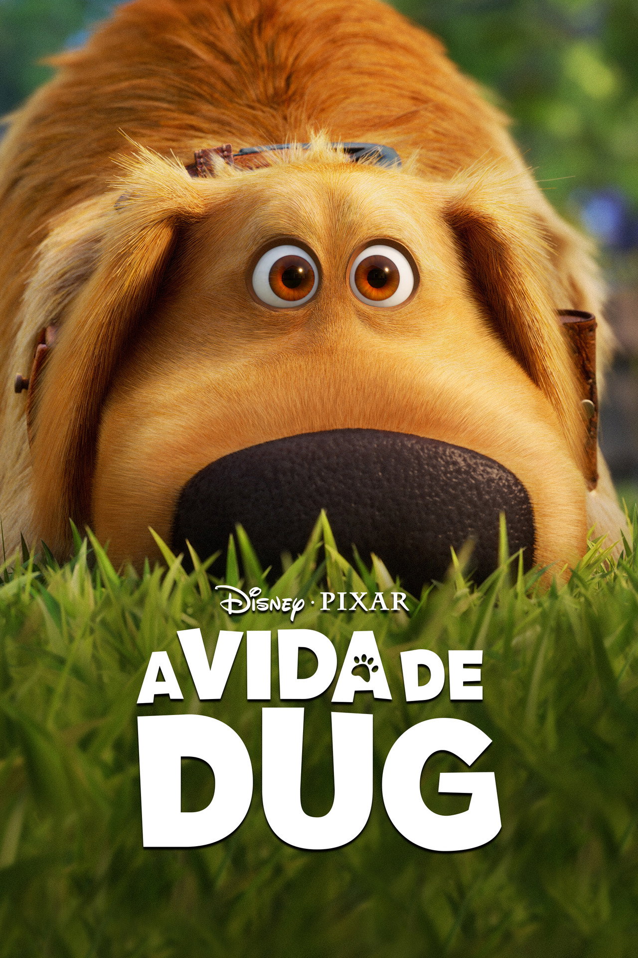 Pôster de A Vida de Dug