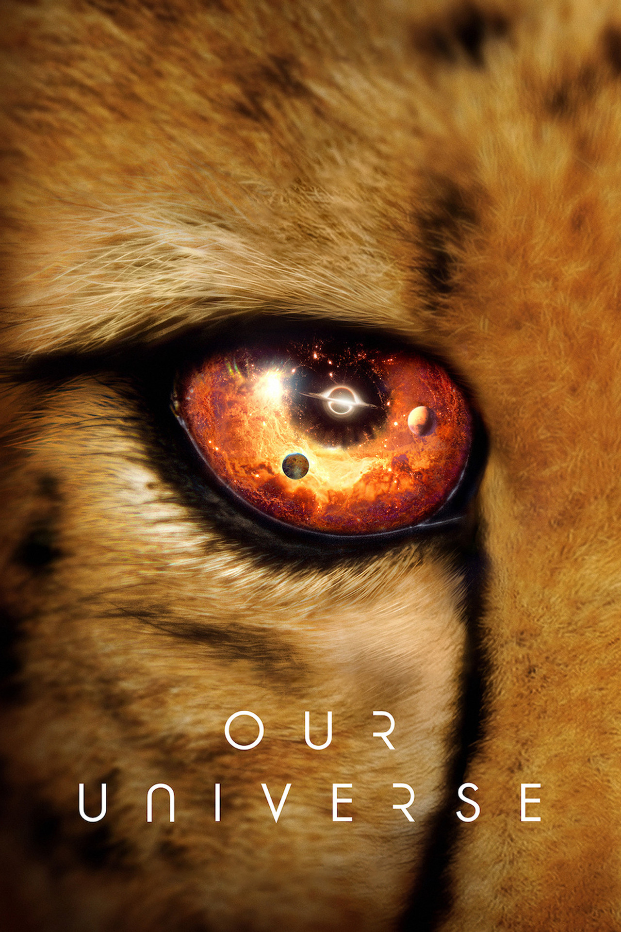 Pôster de Our Universe