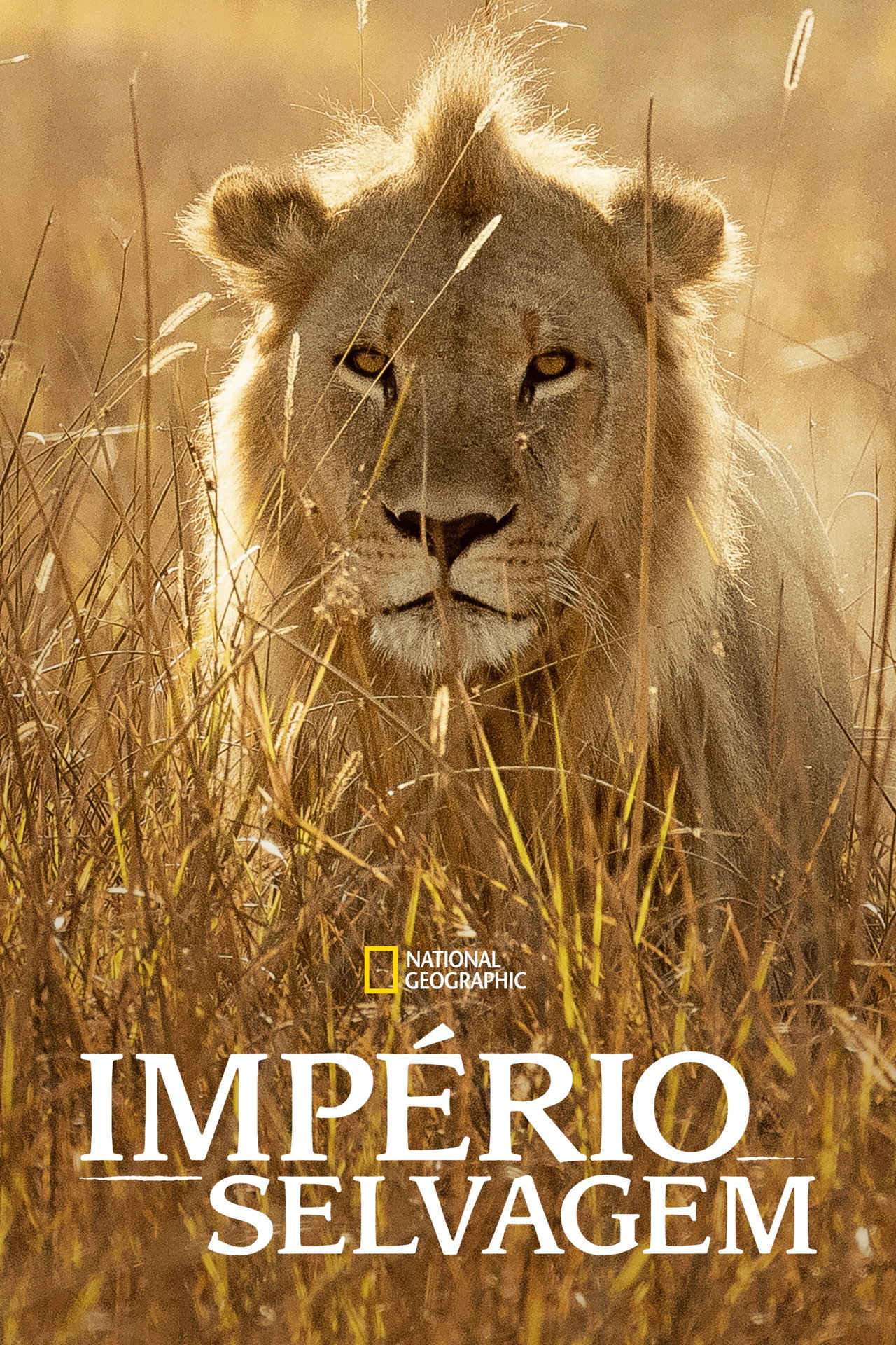 Pôster de Império Selvagem