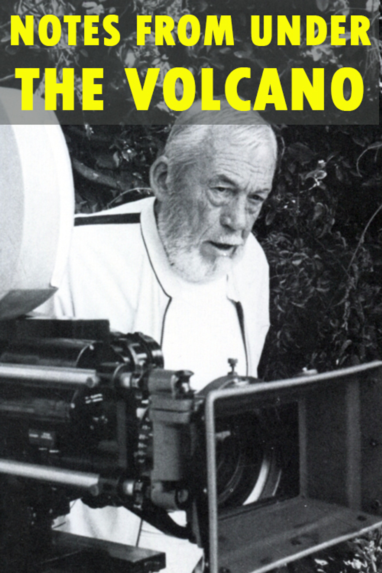 Pôster de Notes from Under the Volcano