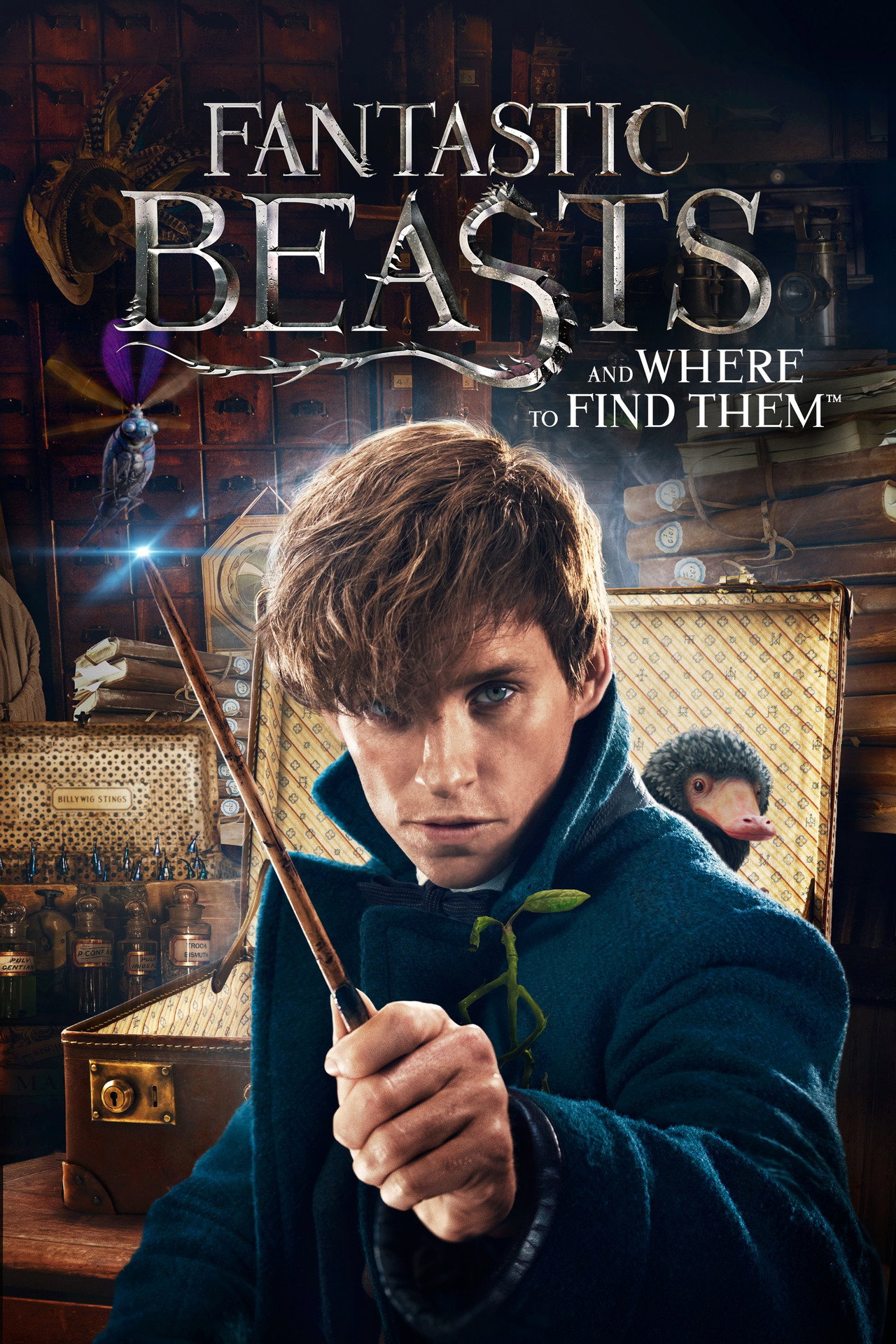 Pôster de Fantastic Beasts and Where to Find Them