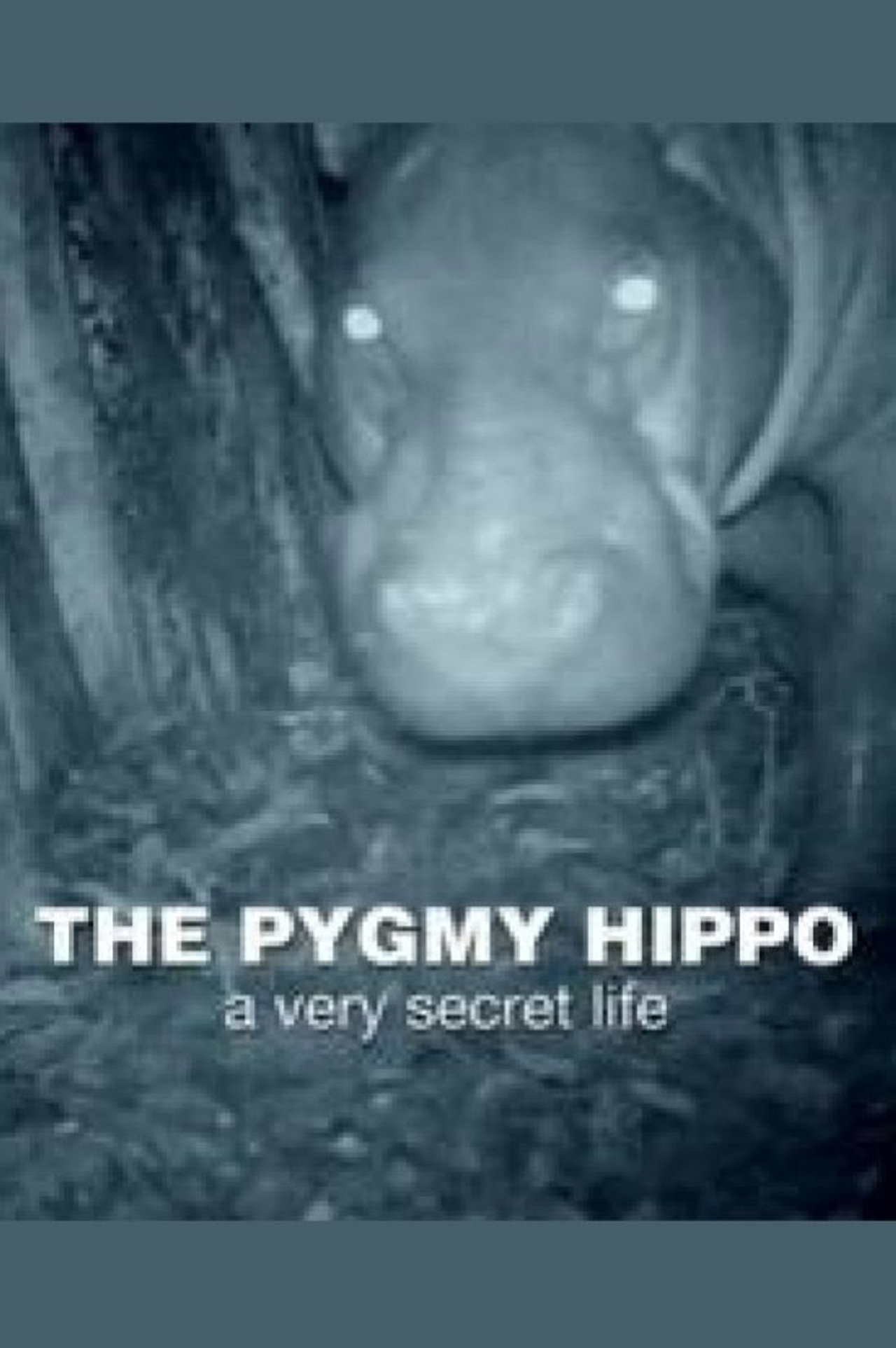 Pôster de The Pygmy Hippo: A Very Secret Life