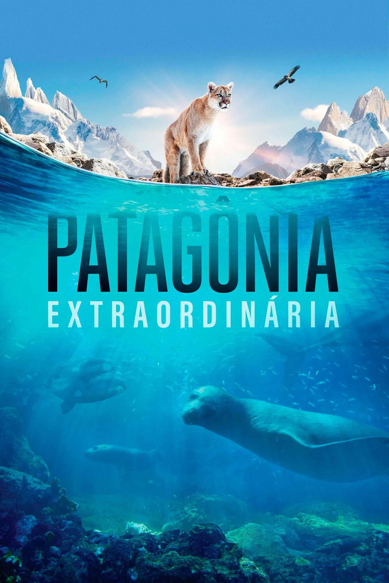 Pôster de Patagônia Extraordinária