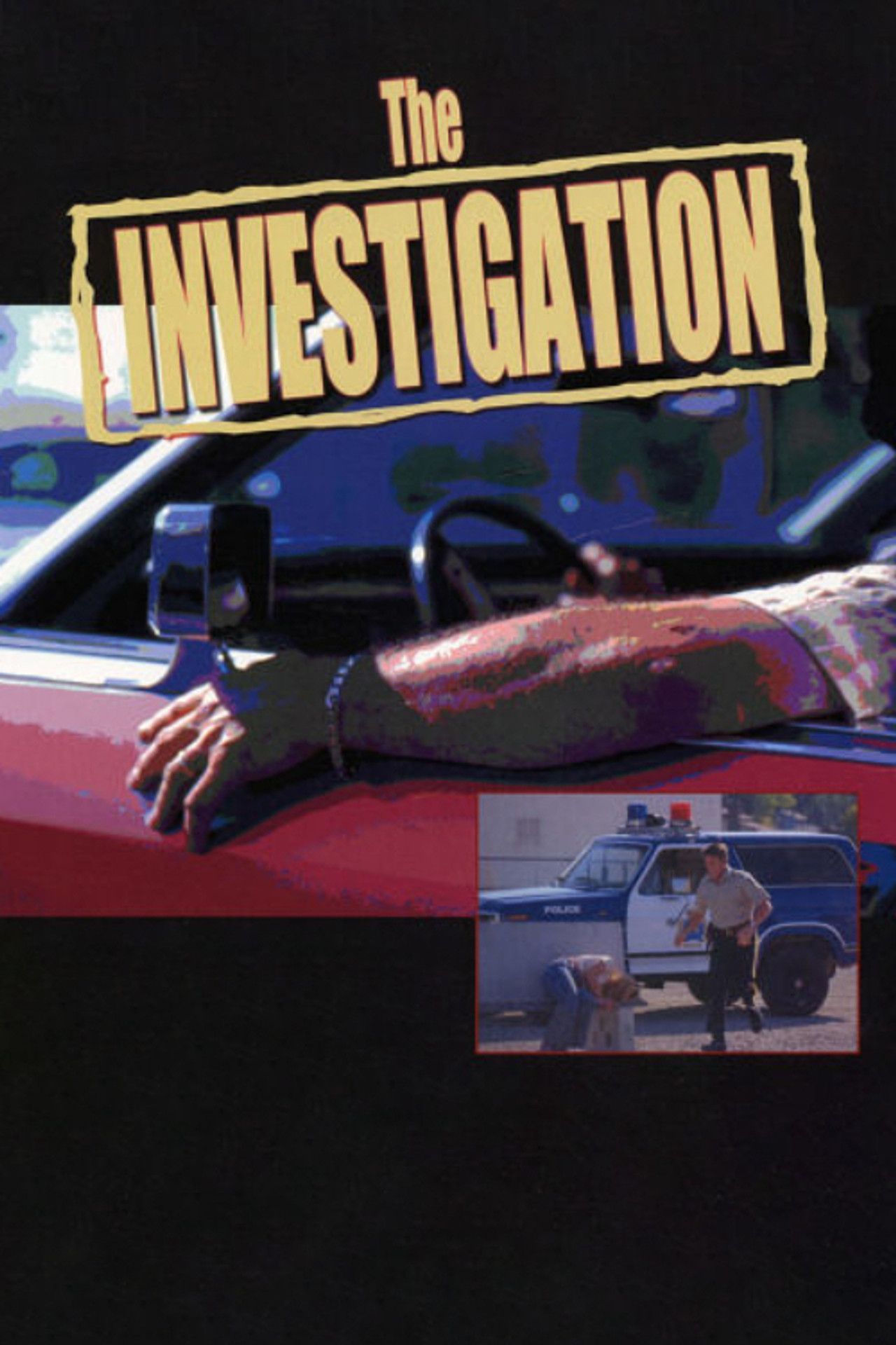 Pôster de The Investigation