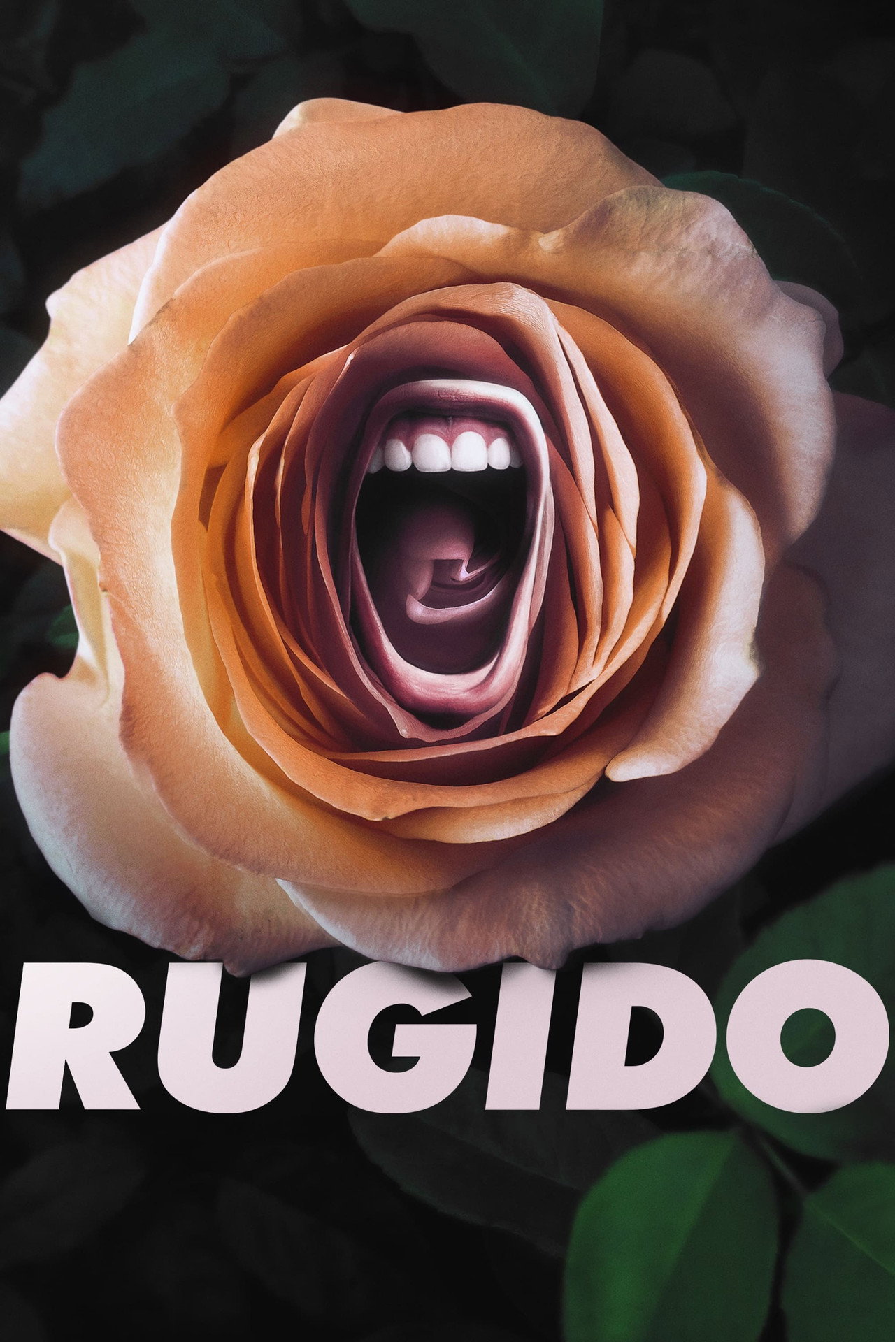 Pôster de Rugido