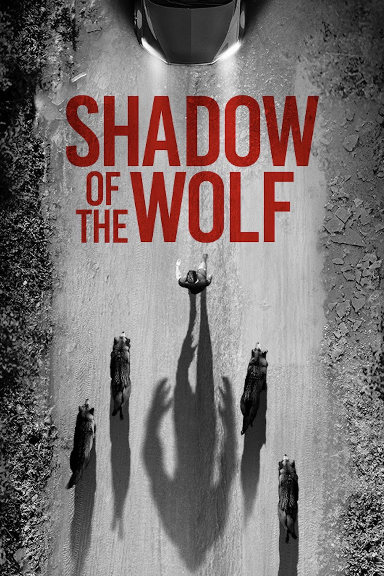 Pôster de Shadow of the Wolf