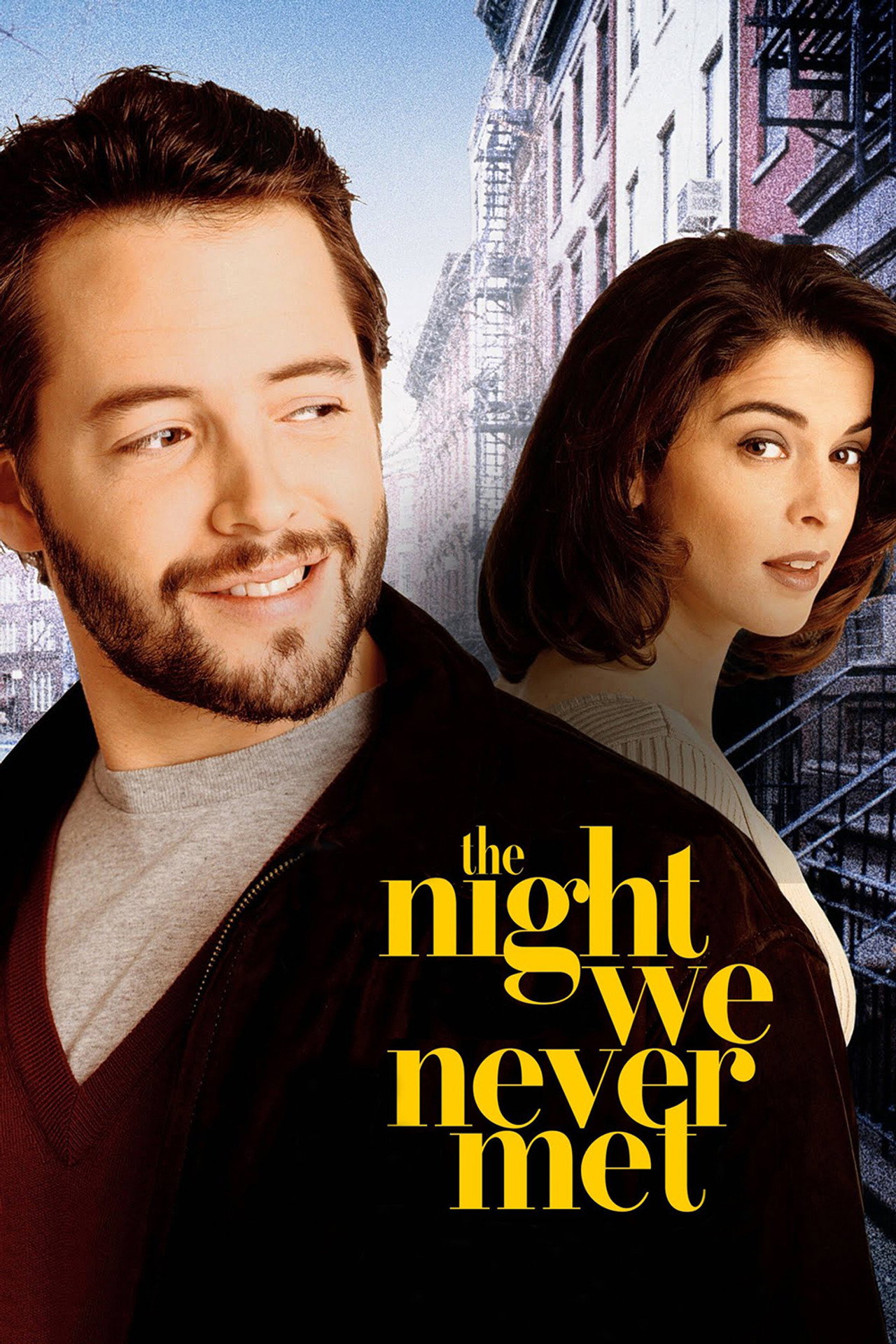Pôster de The Night We Never Met