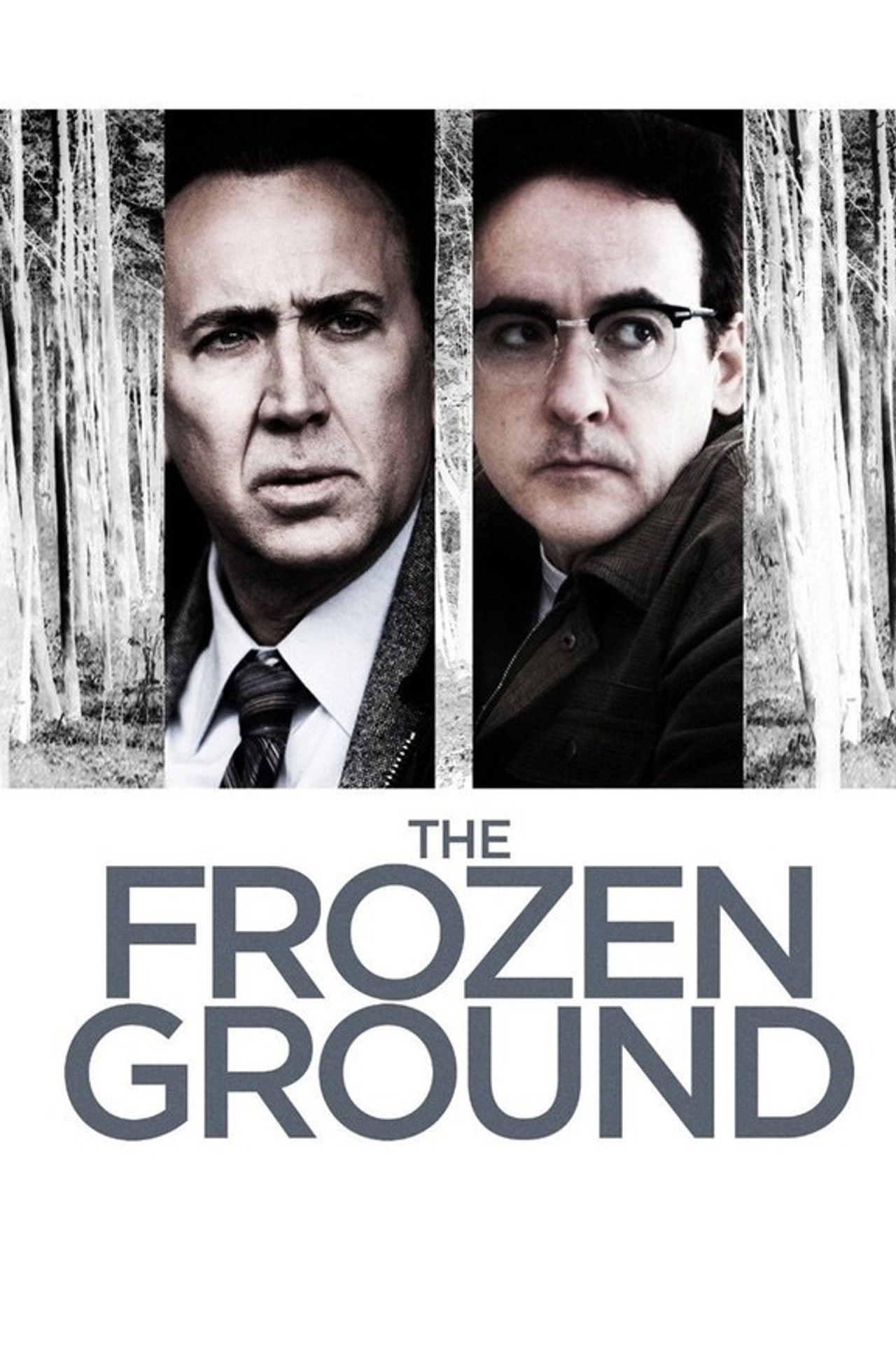 Pôster de The Frozen Ground