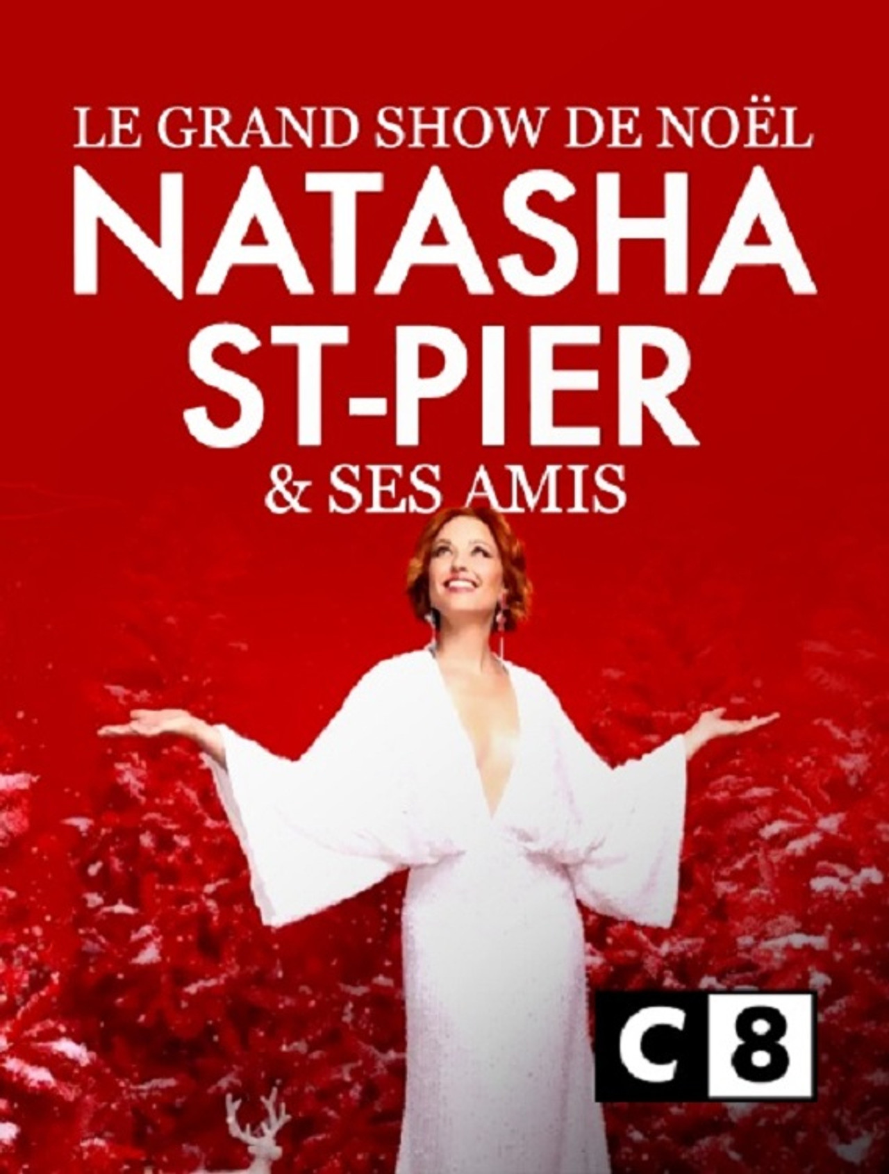 Pôster de Le grand show de Noël avec Natasha St-Pier et ses amis