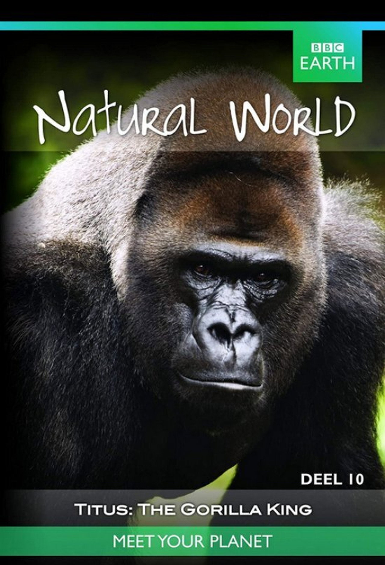 Pôster de Titus: The Gorilla King