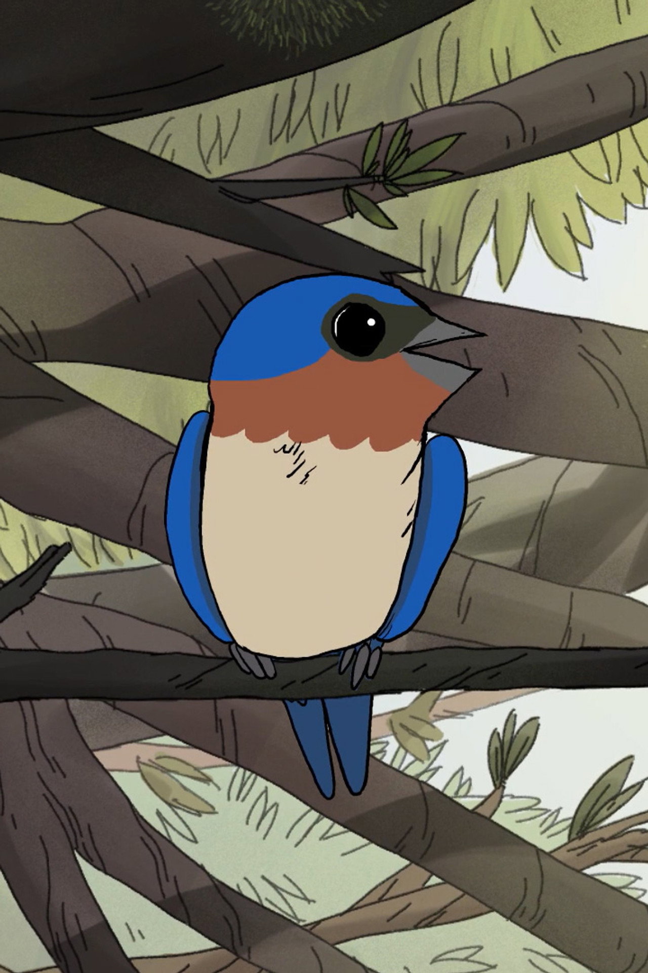 Pôster de Birds