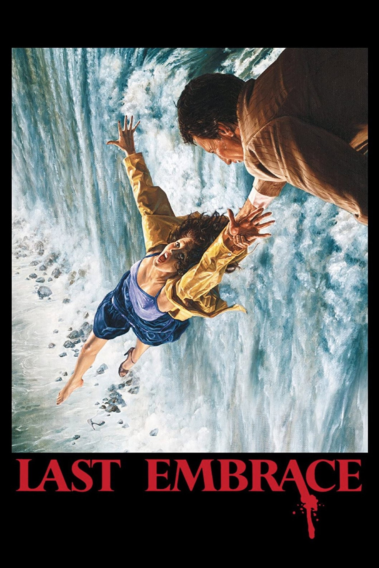 Pôster de Last Embrace