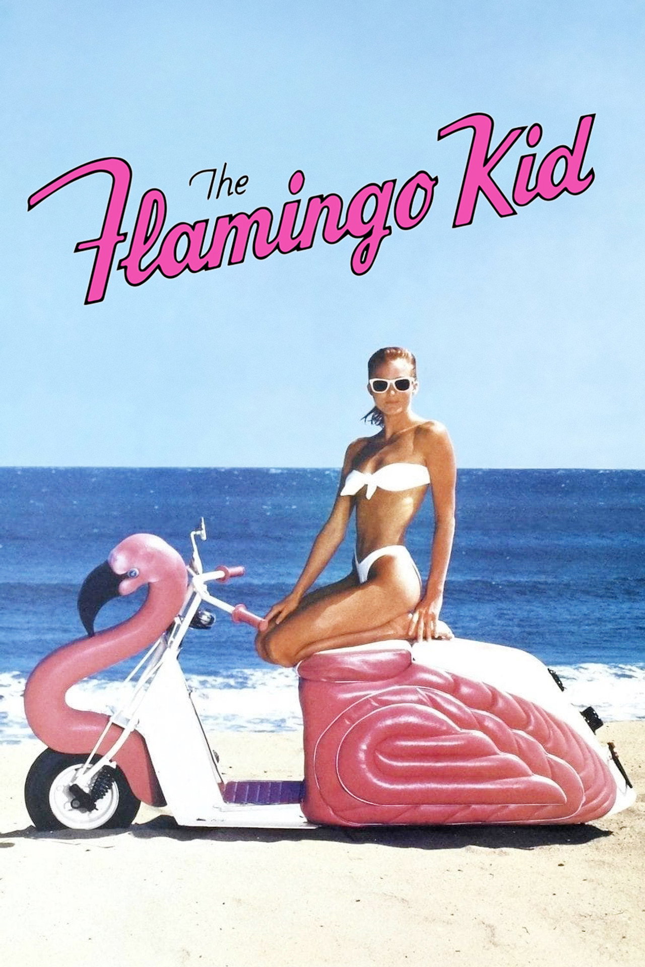 Pôster de The Flamingo Kid