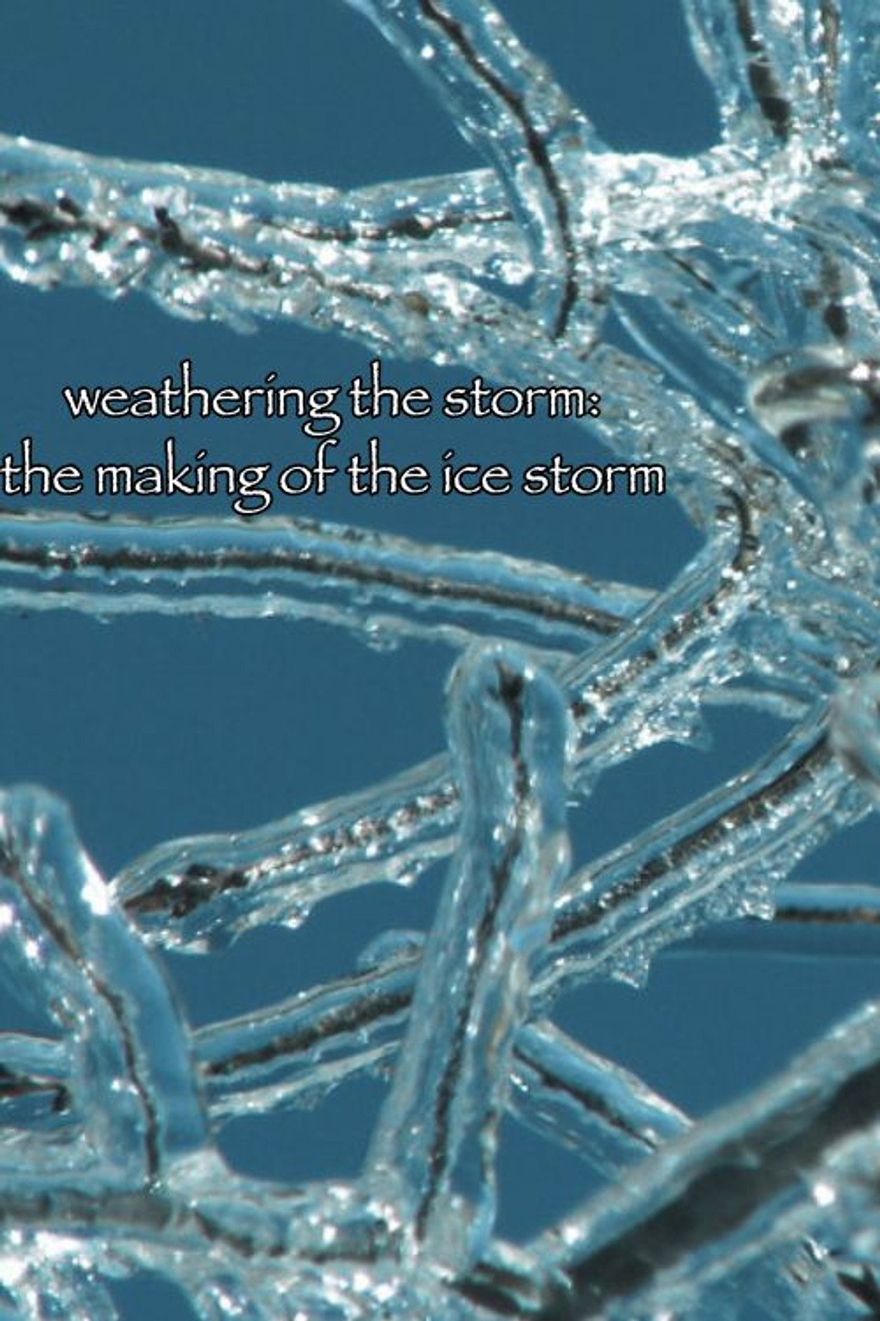 Pôster de Weathering the Storm: The Making of The Ice Storm