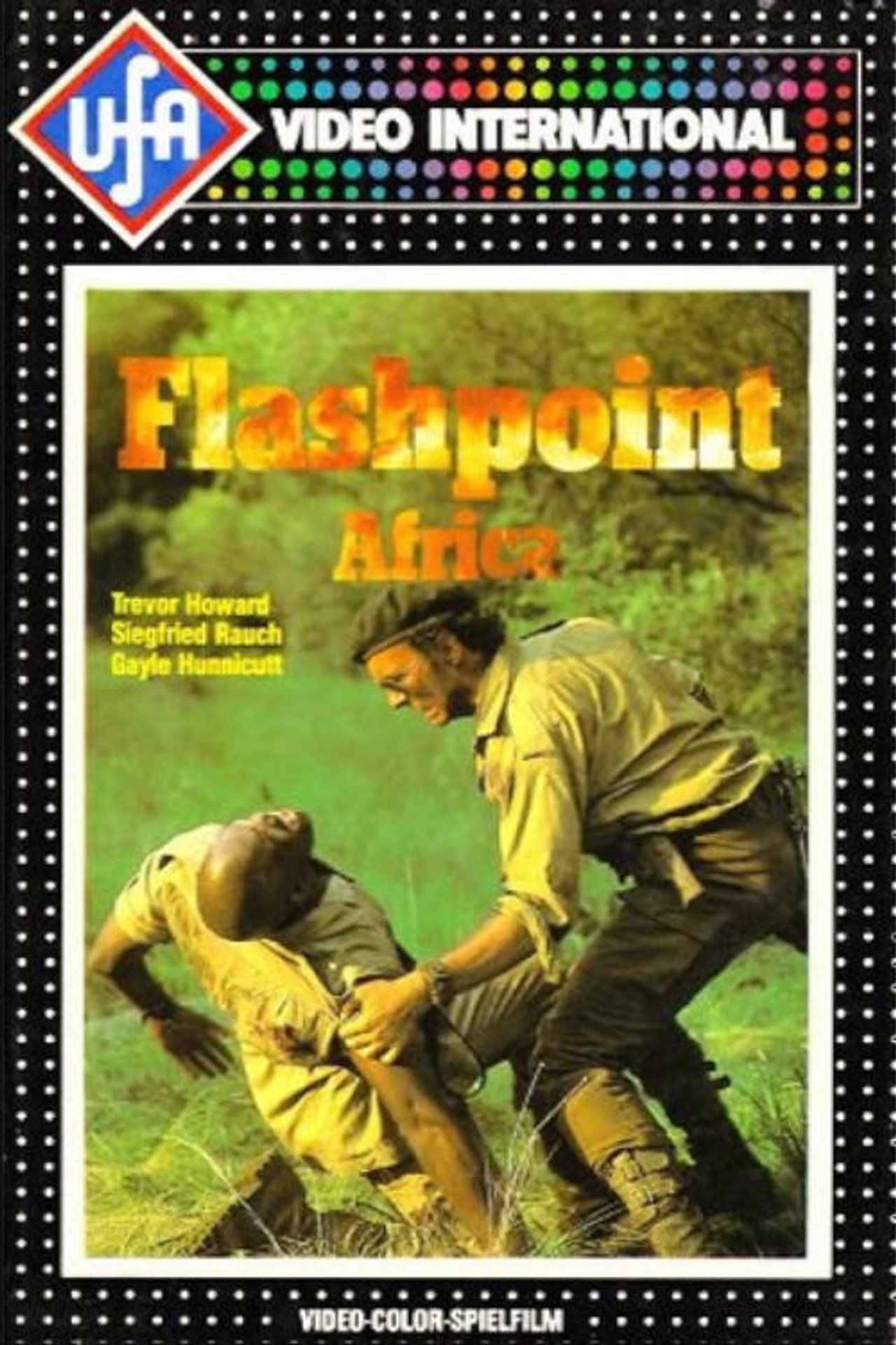 Pôster de Flashpoint Africa