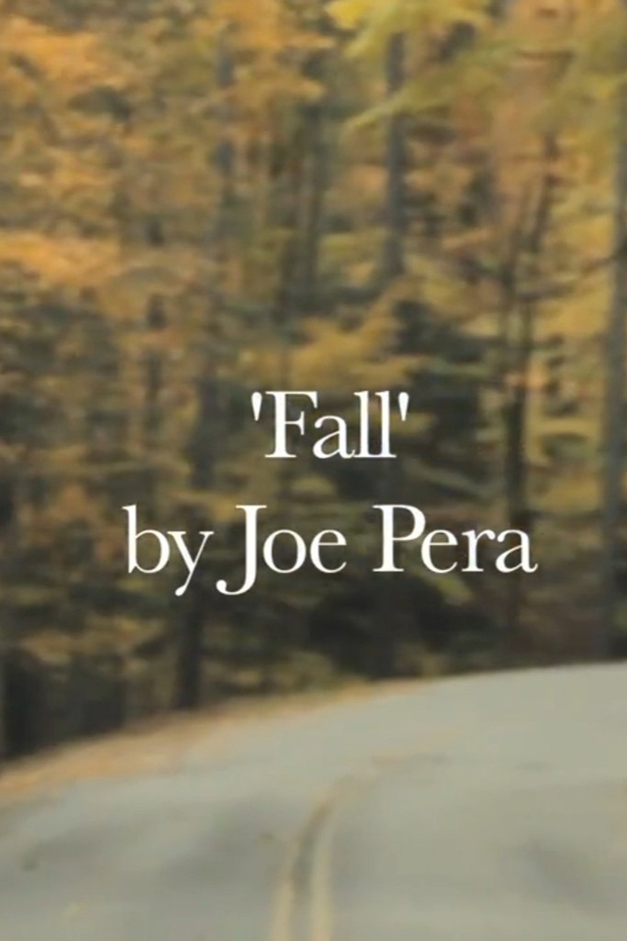 Pôster de Fall