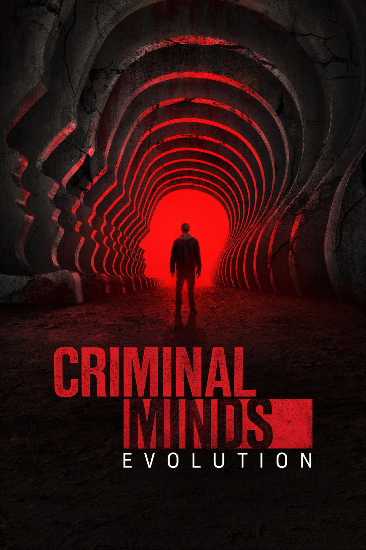 Pôster de Criminal Minds