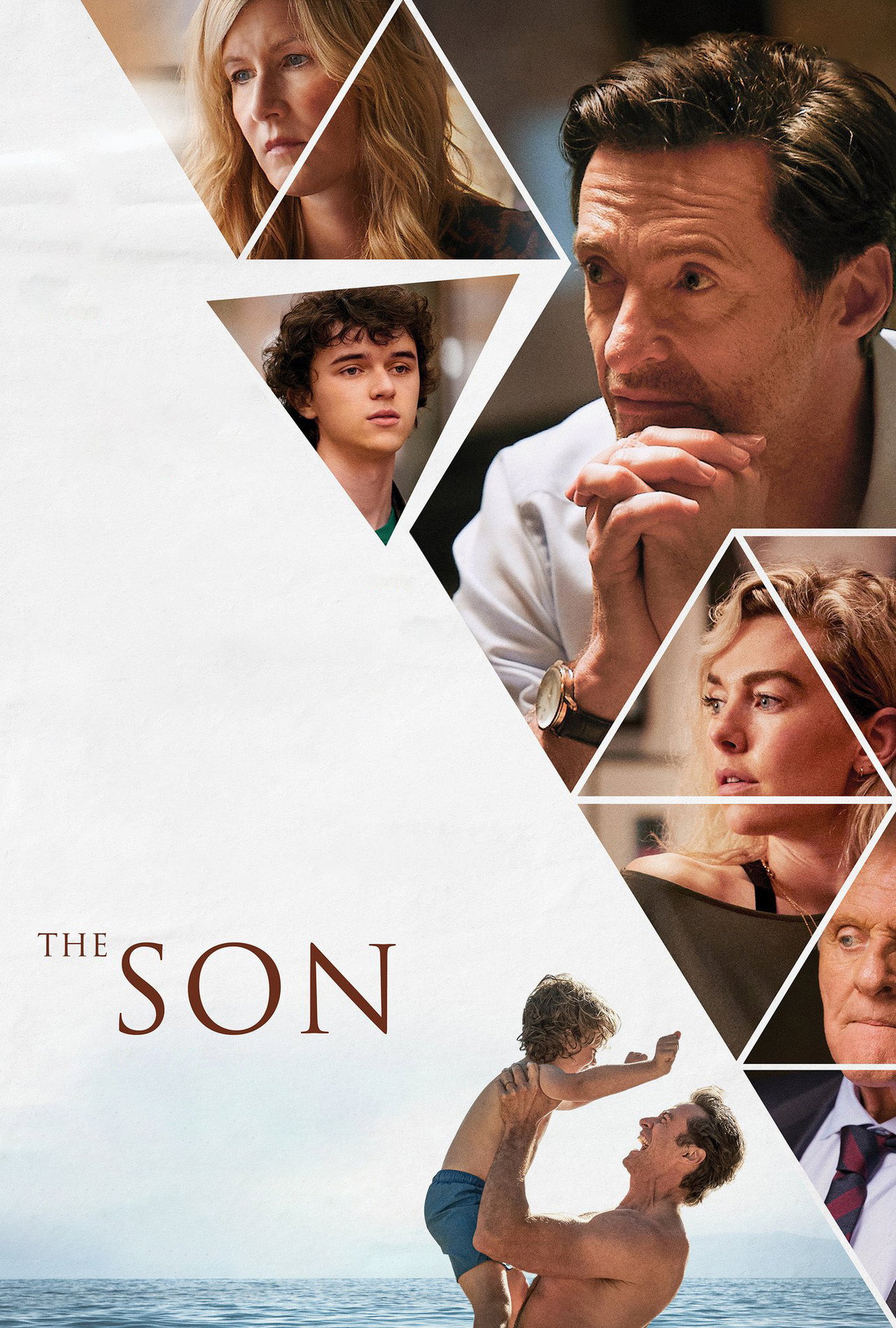 Pôster de The Son