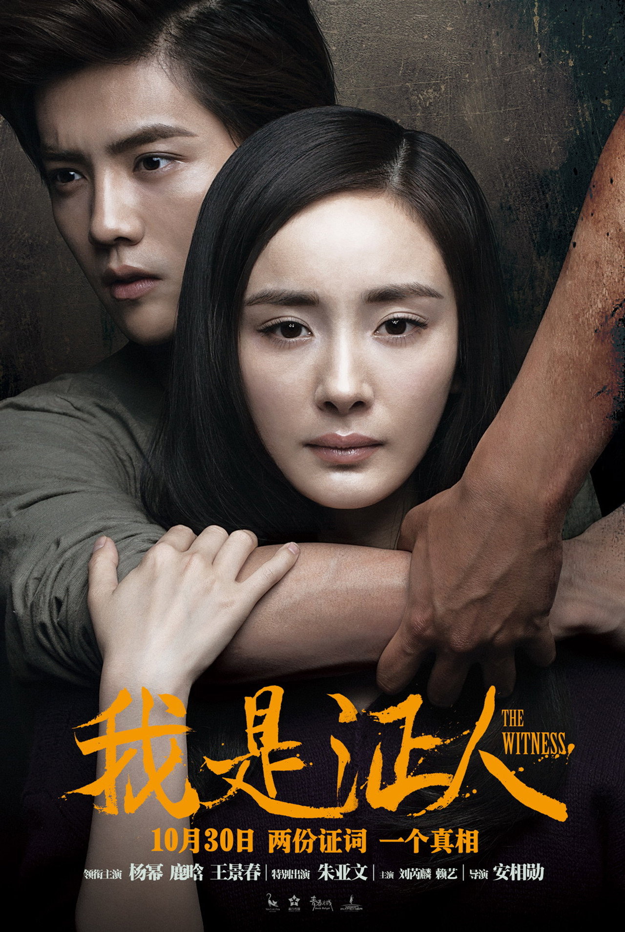 Pôster de 我是证人