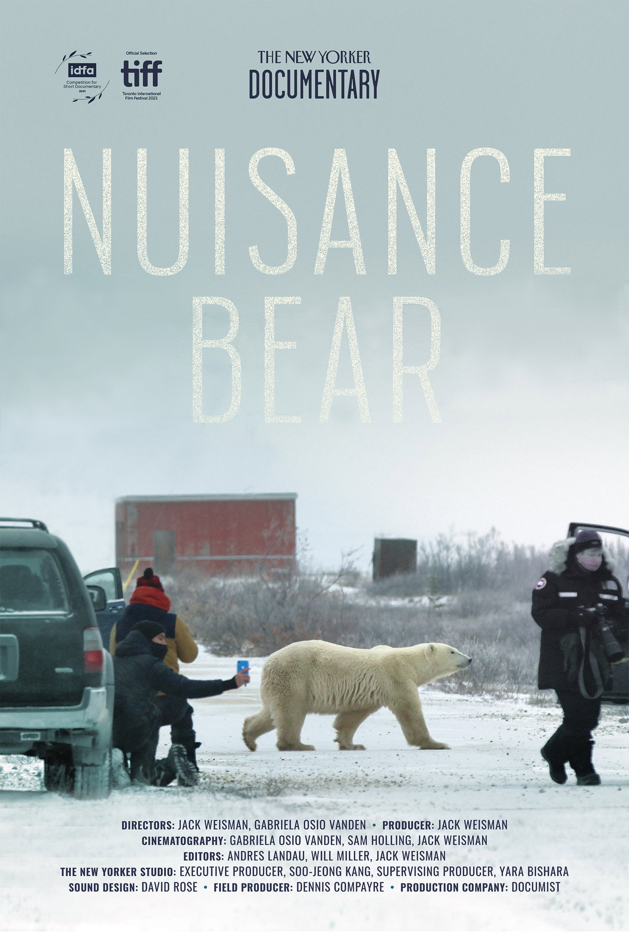 Pôster de Nuisance Bear