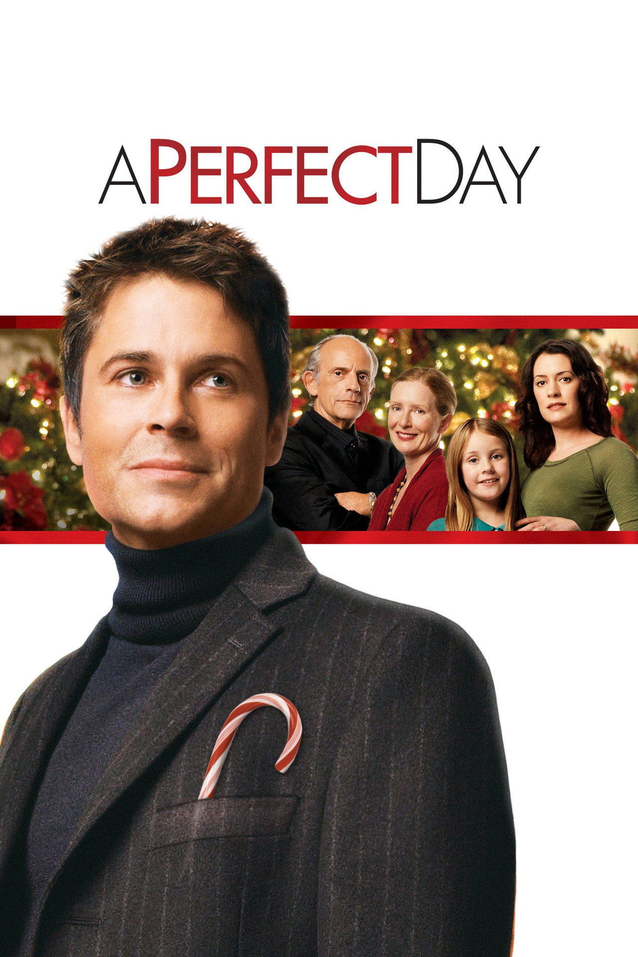 Pôster de A Perfect Day
