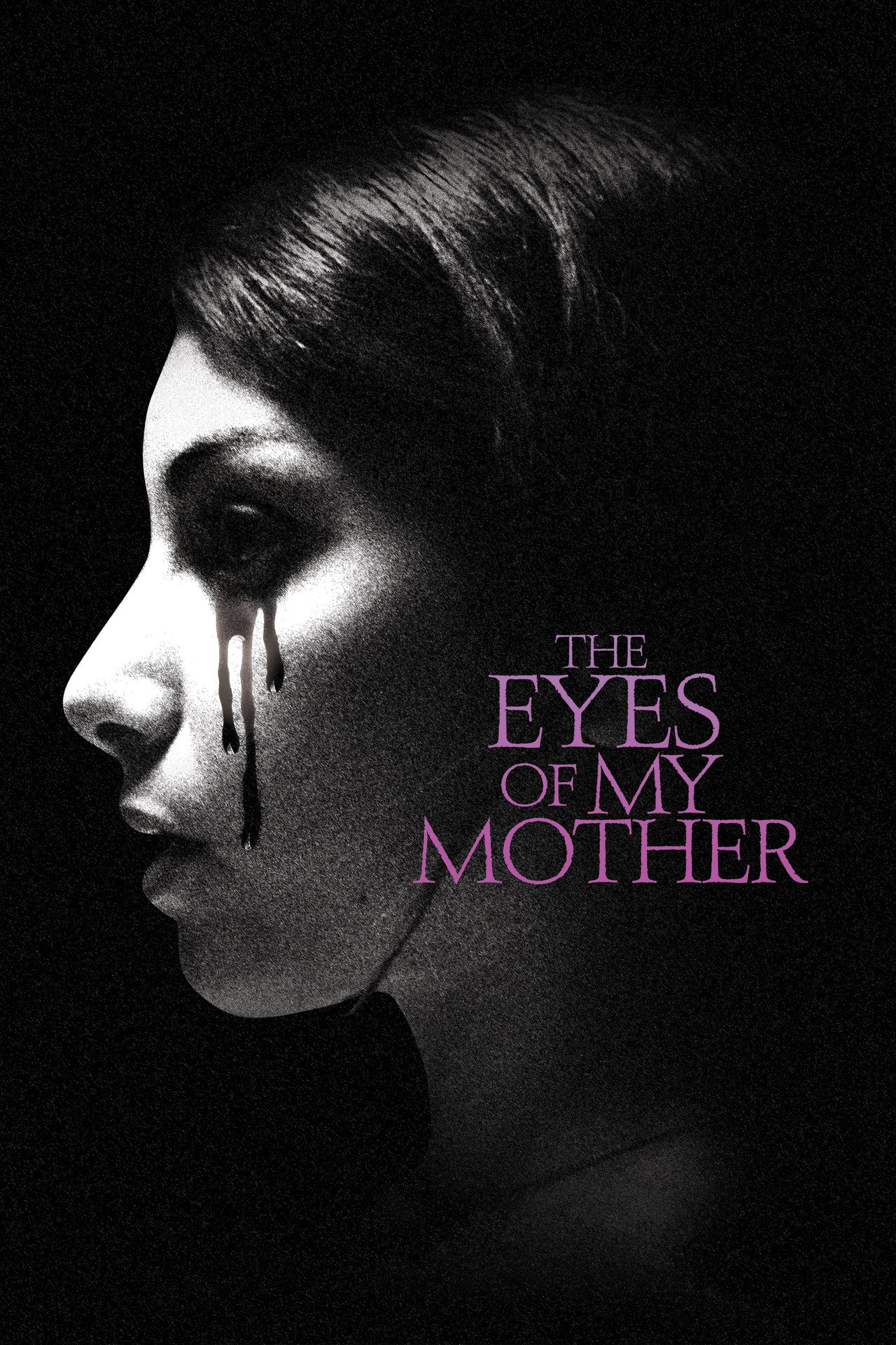 Pôster de The Eyes of My Mother