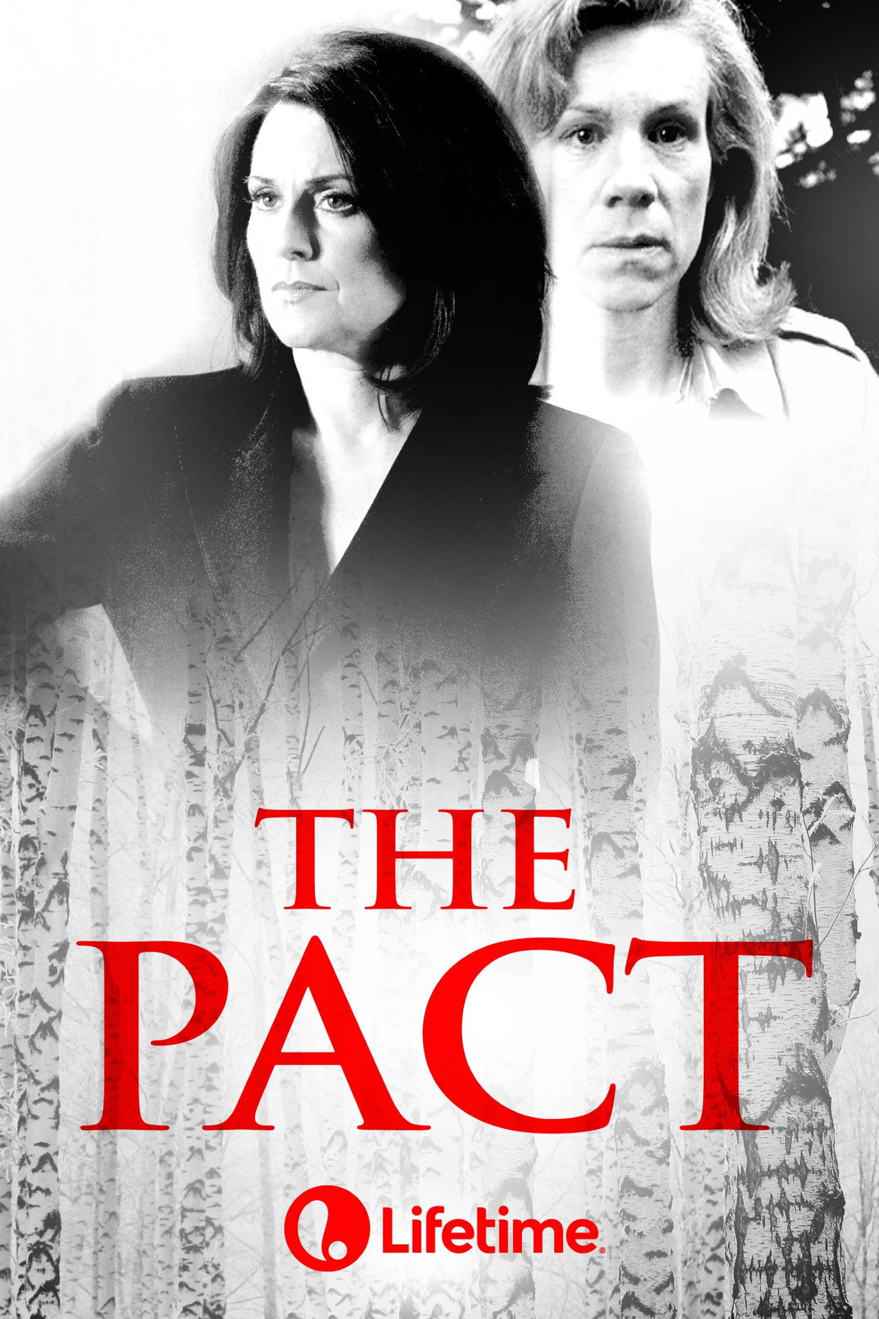 Pôster de The Pact