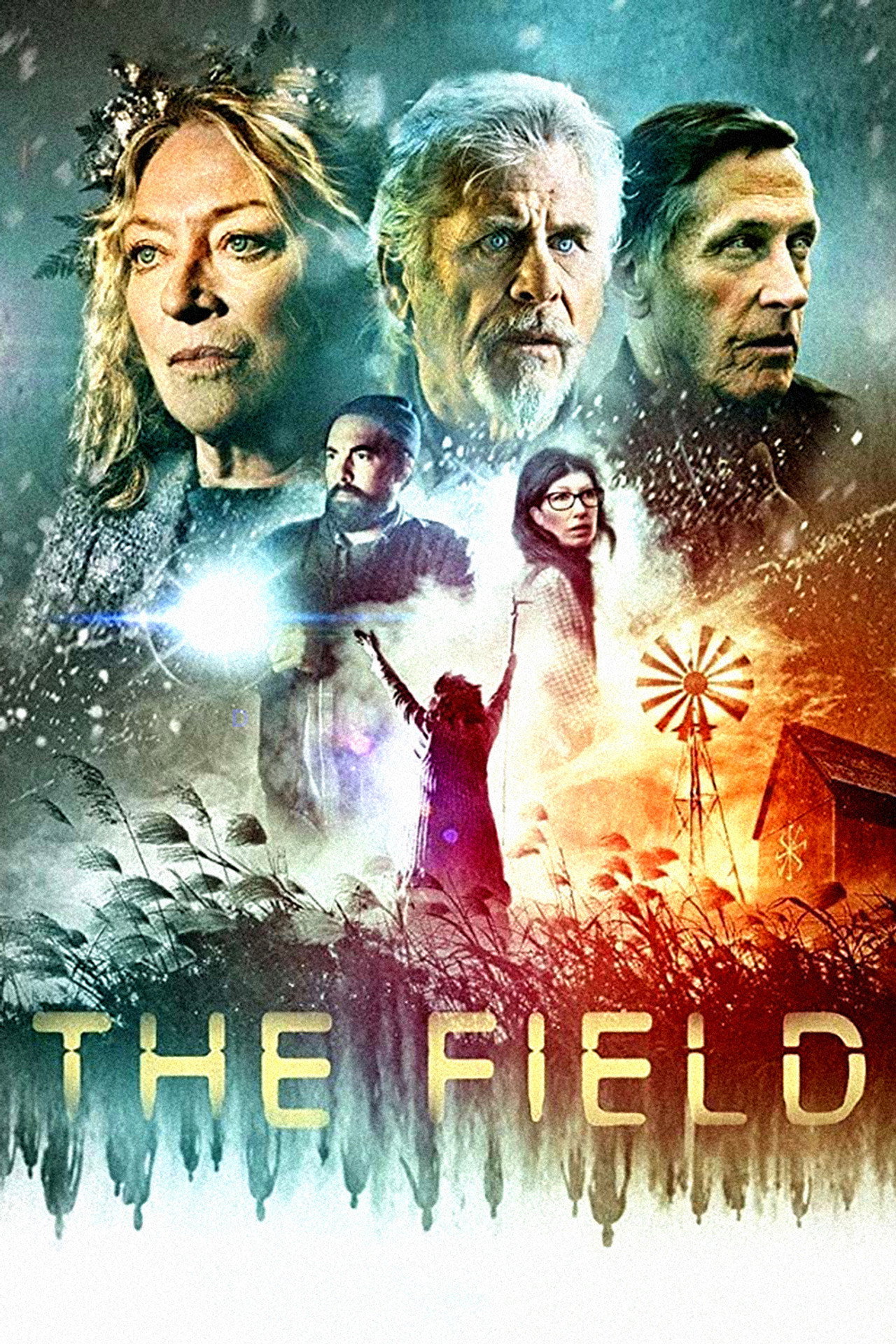 Pôster de The Field