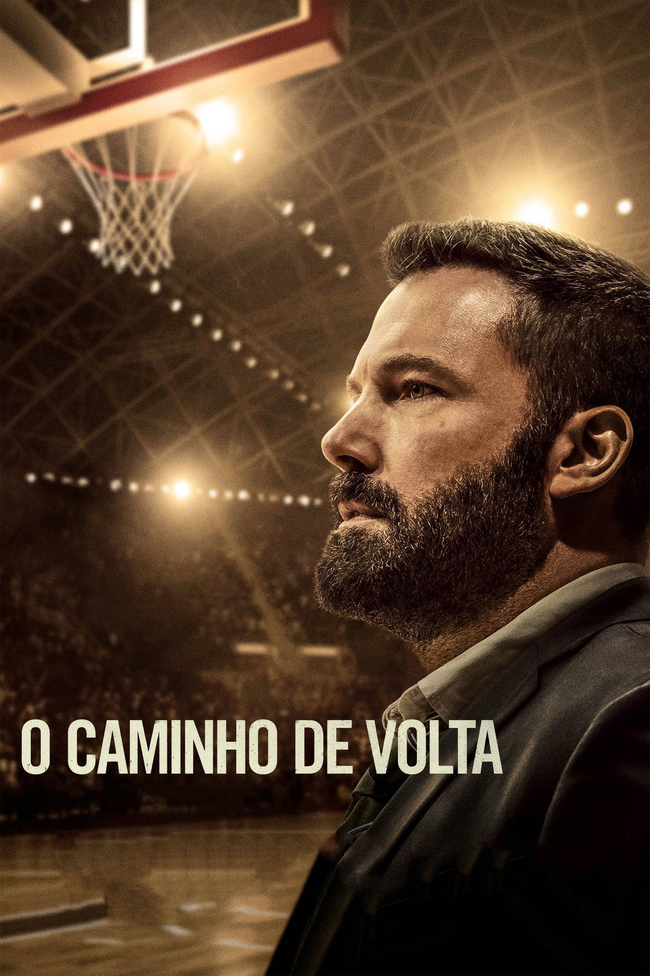Pôster de O Caminho de Volta