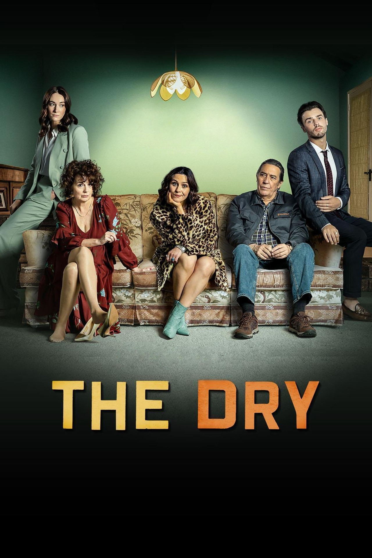 Pôster de The Dry
