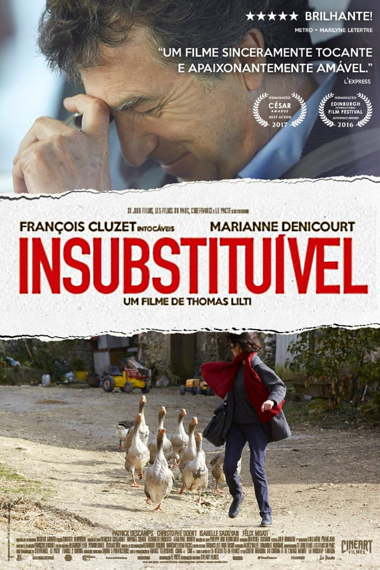 Pôster de Insubstituível