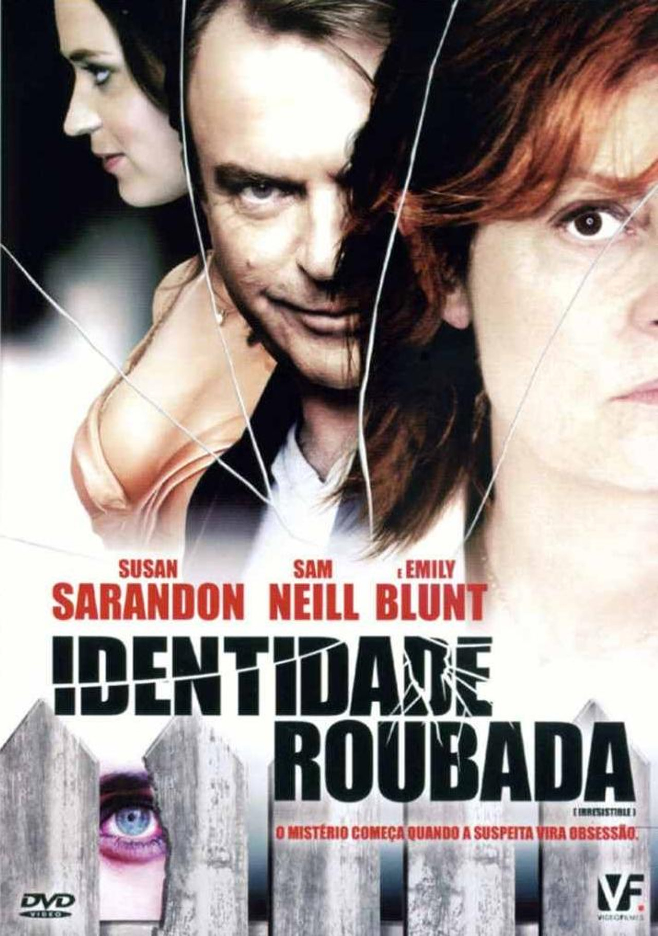 Pôster de Identidade Roubada