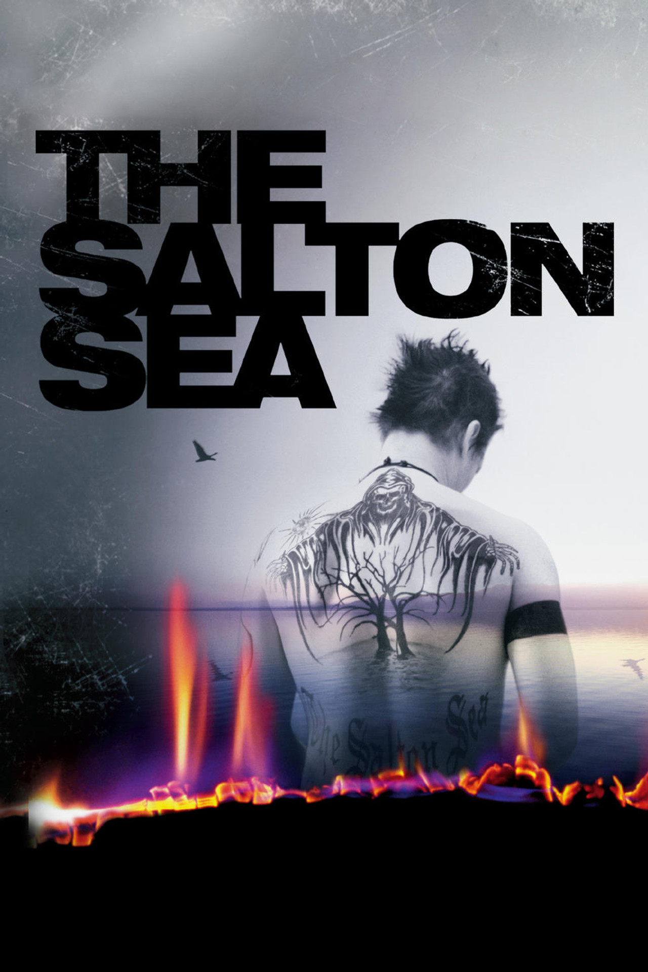 Pôster de The Salton Sea