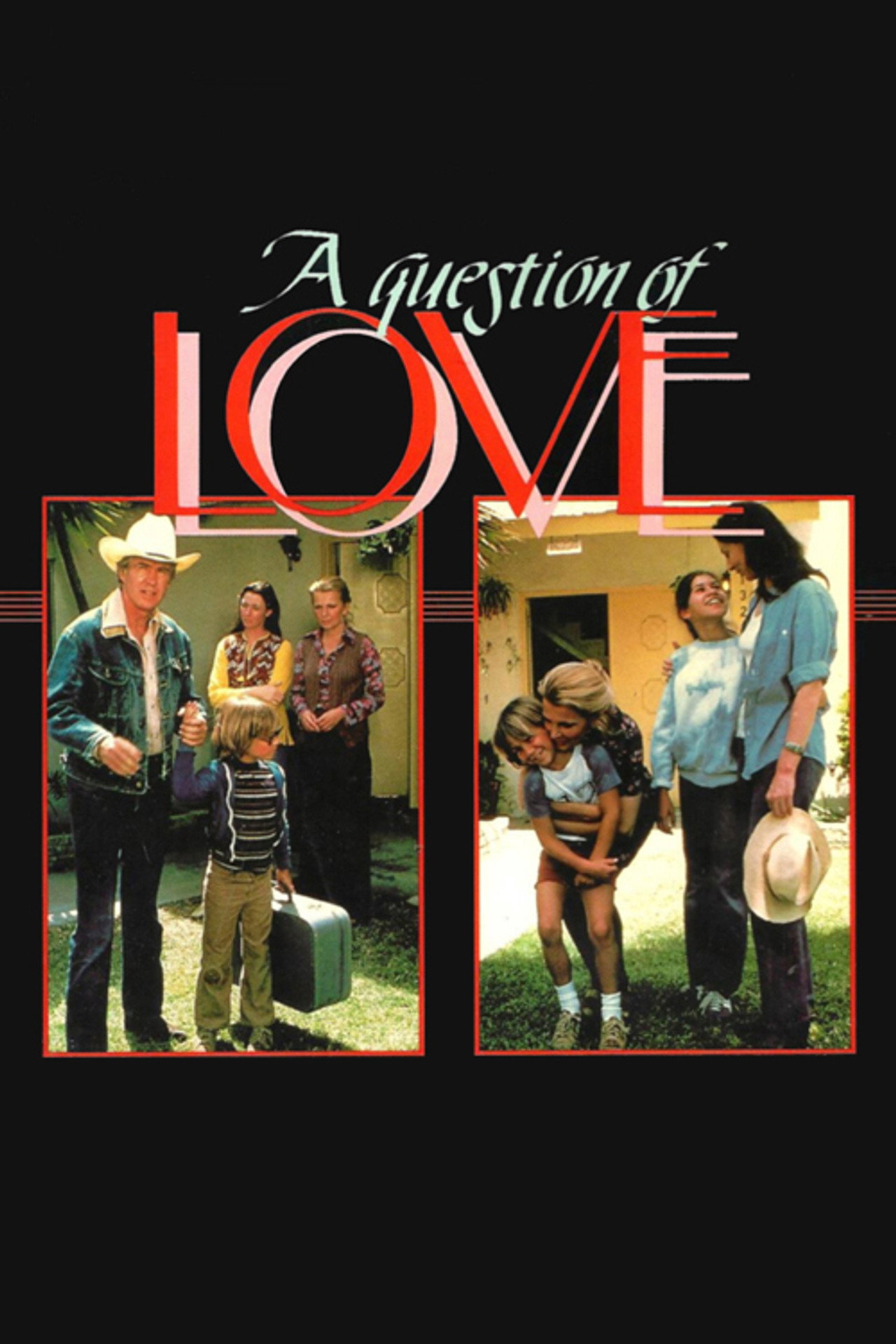 Pôster de A Question of Love