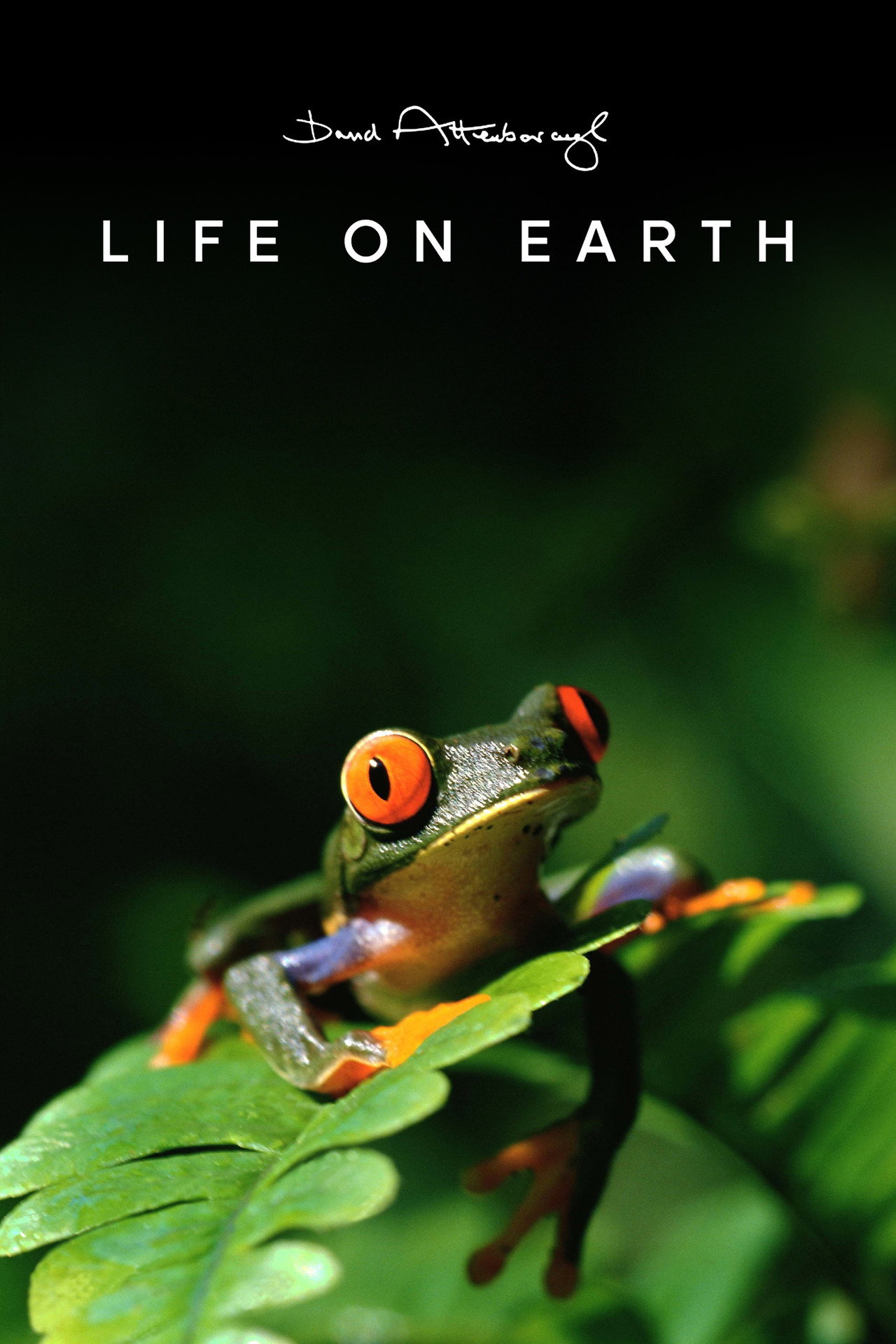 Pôster de Life on Earth