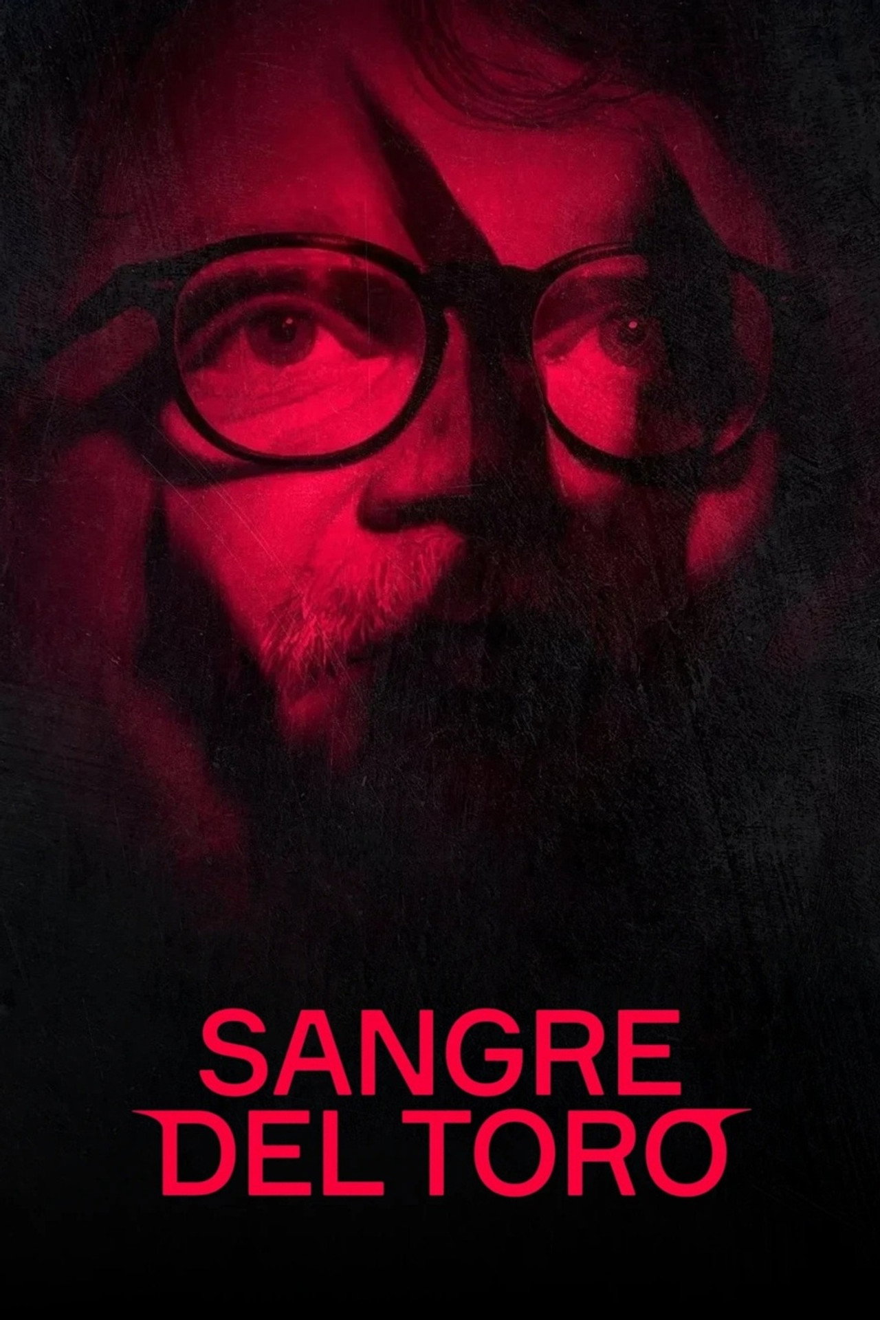 Pôster de Sangre del Toro